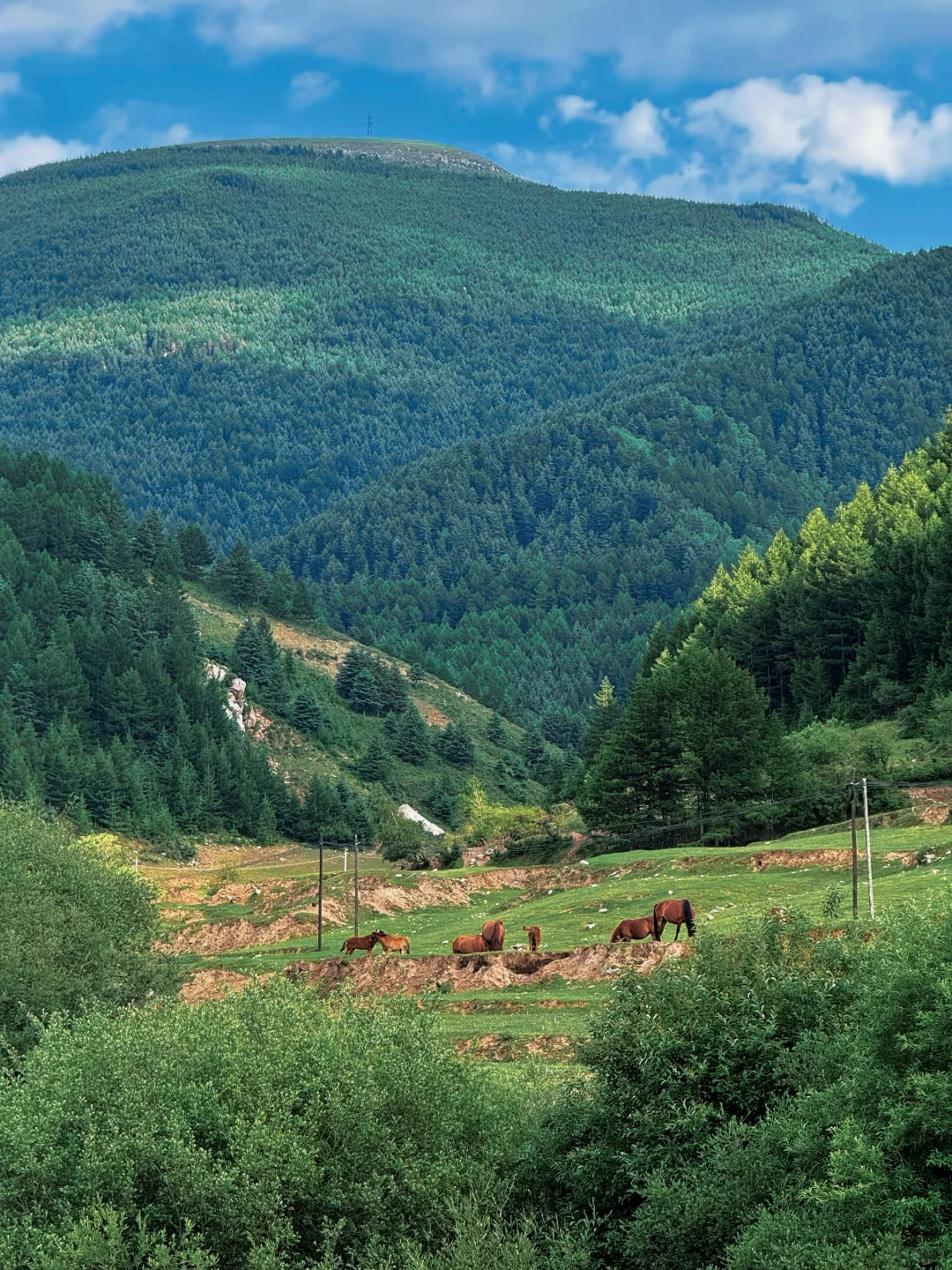 在山西，我找到了藏在梦里的那片草原🐎…..