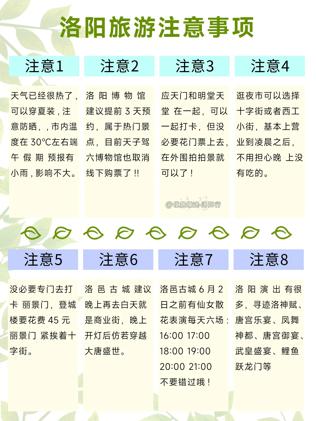 去洛阳bi看的真相😤90%的博主都不敢说❗️❗️