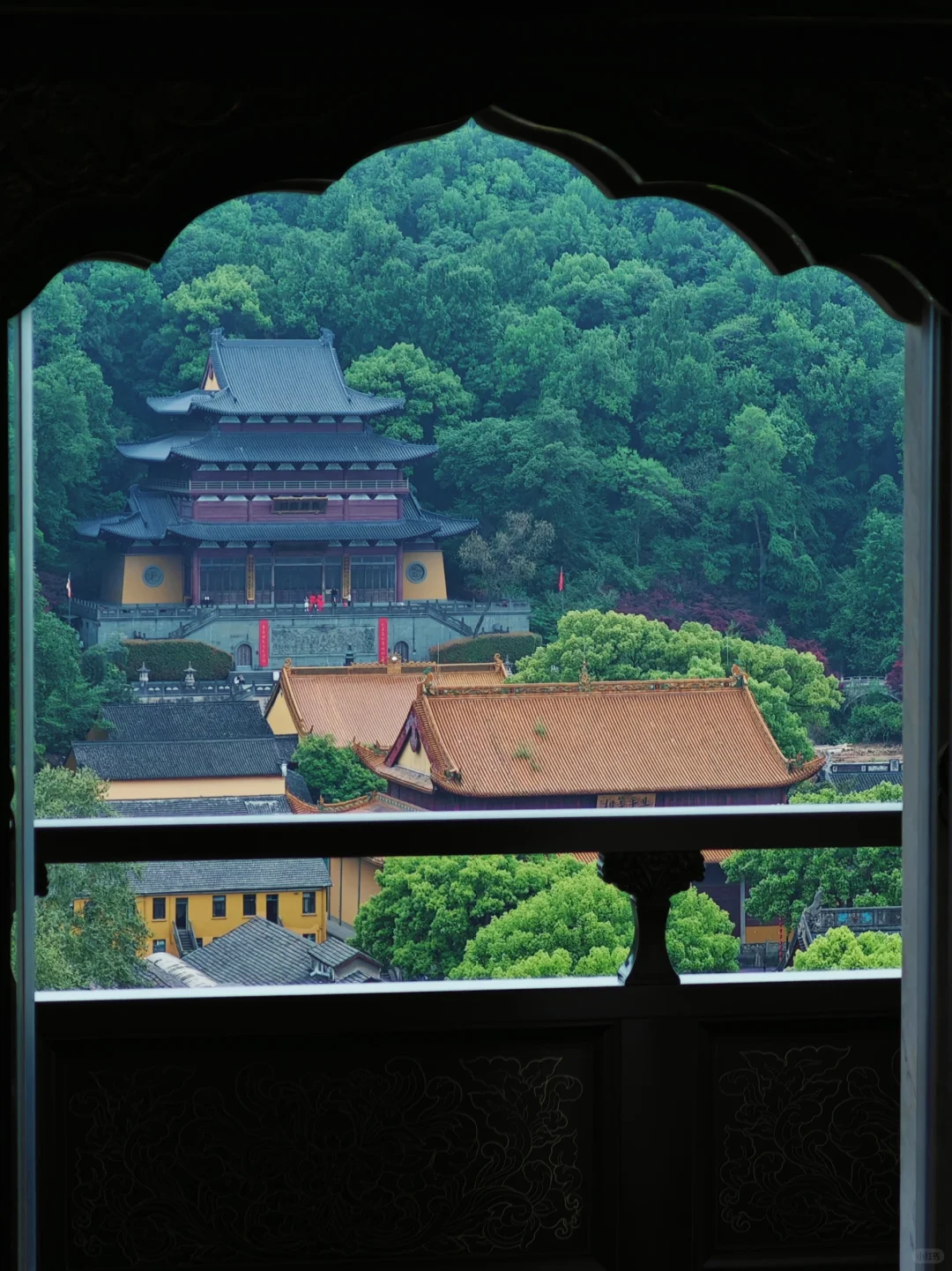 记录一场江南的春意盎然🍃