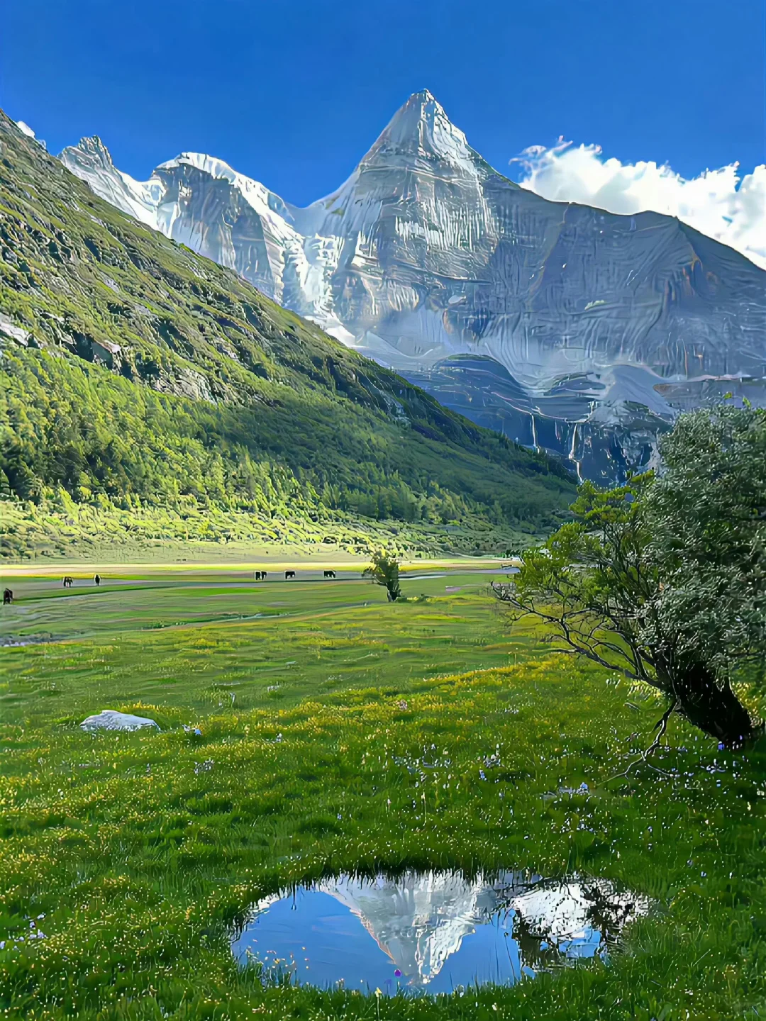 与远山对话