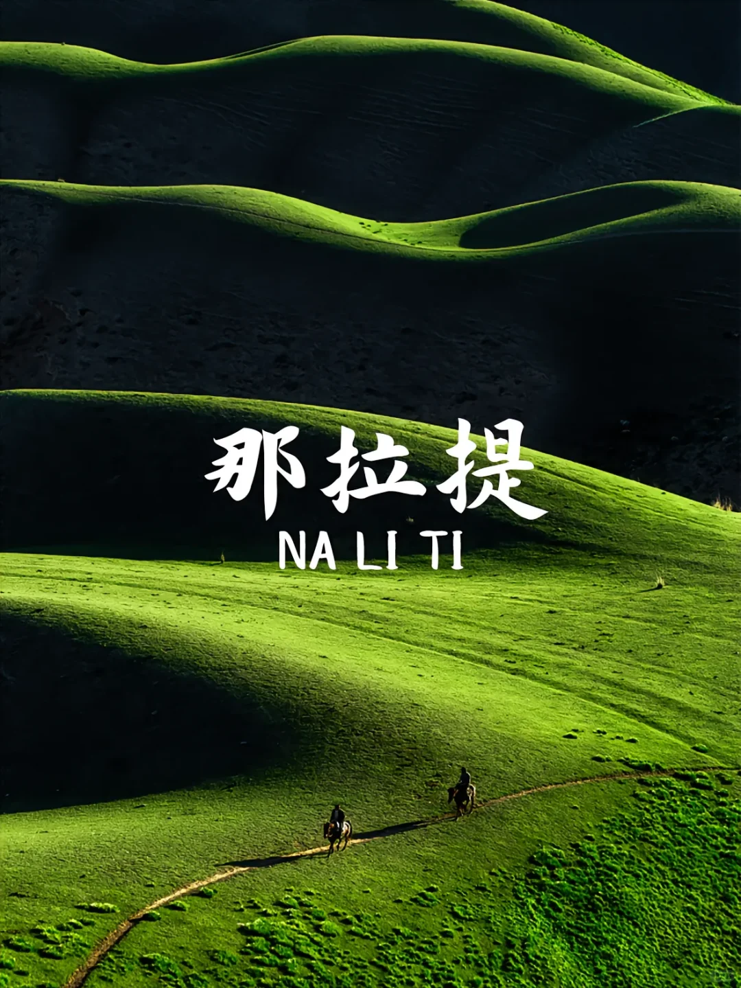 新疆必打卡九大景点🌲一条线路给你搞定。