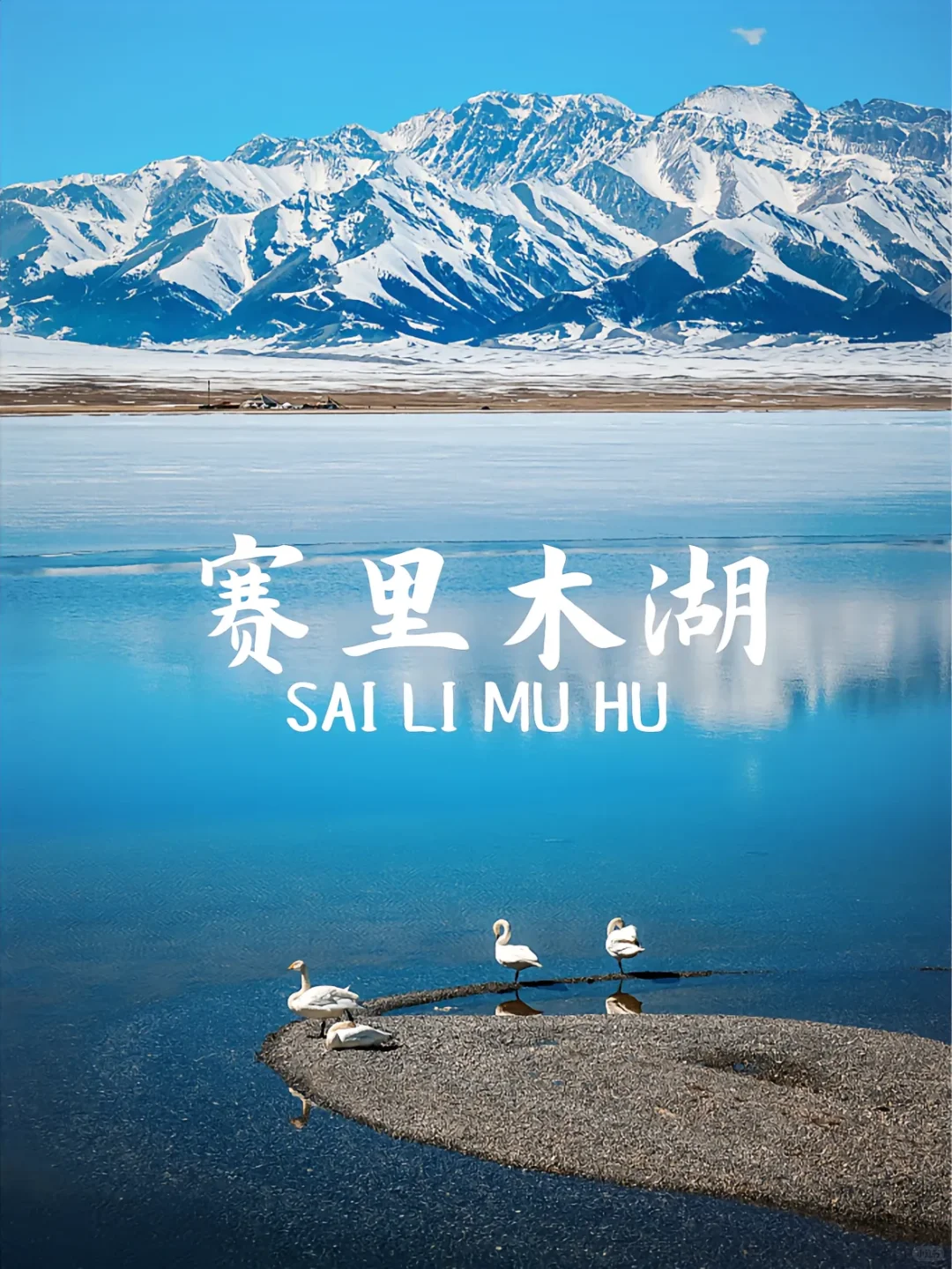 新疆必打卡九大景点🌲一条线路给你搞定。