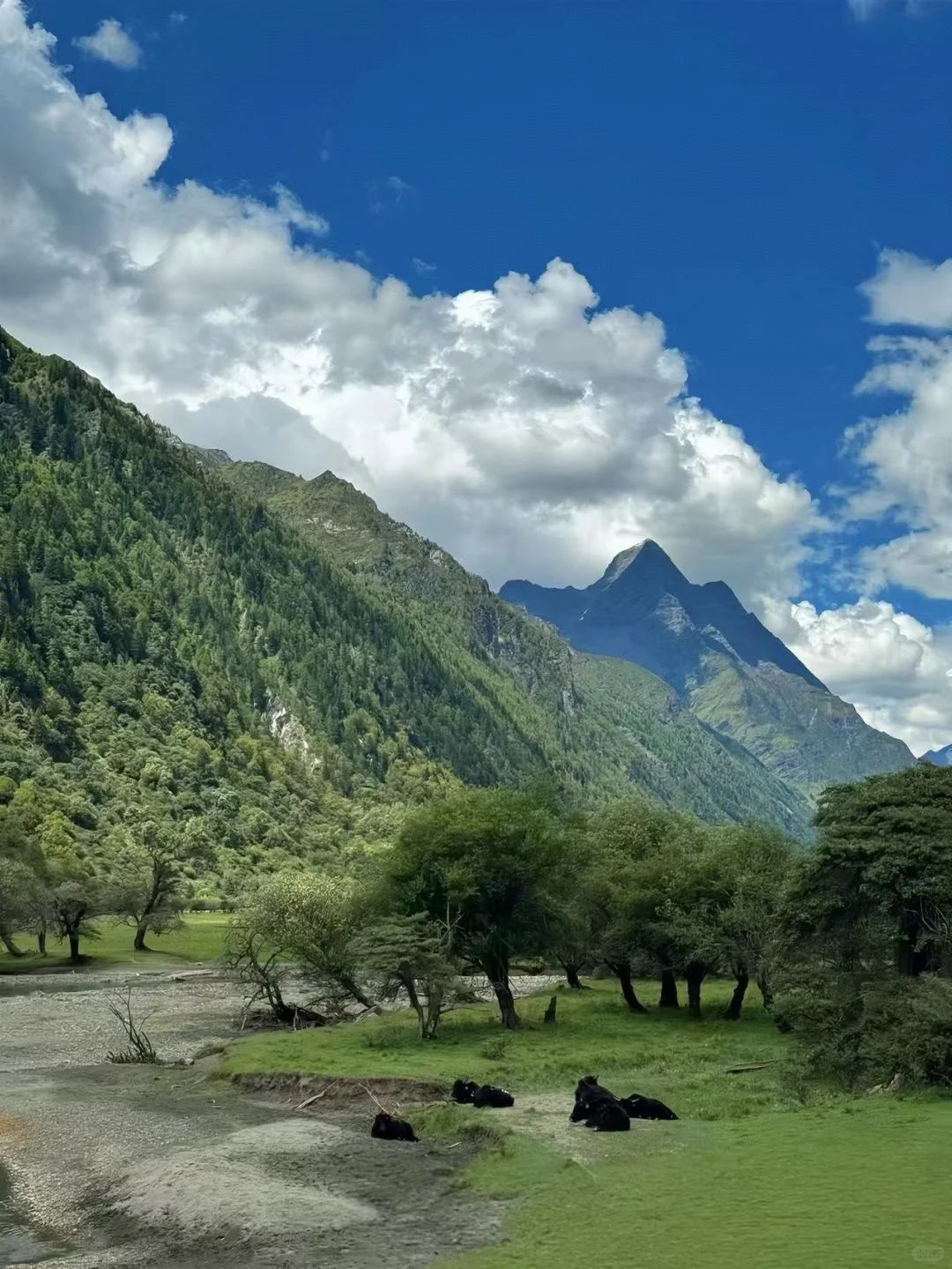 旅游途中的美景