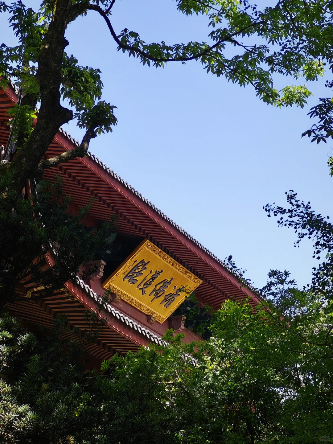 记录一场江南的春意盎然🍃