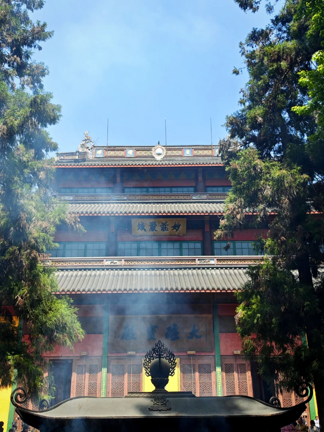 记录一场江南的春意盎然🍃