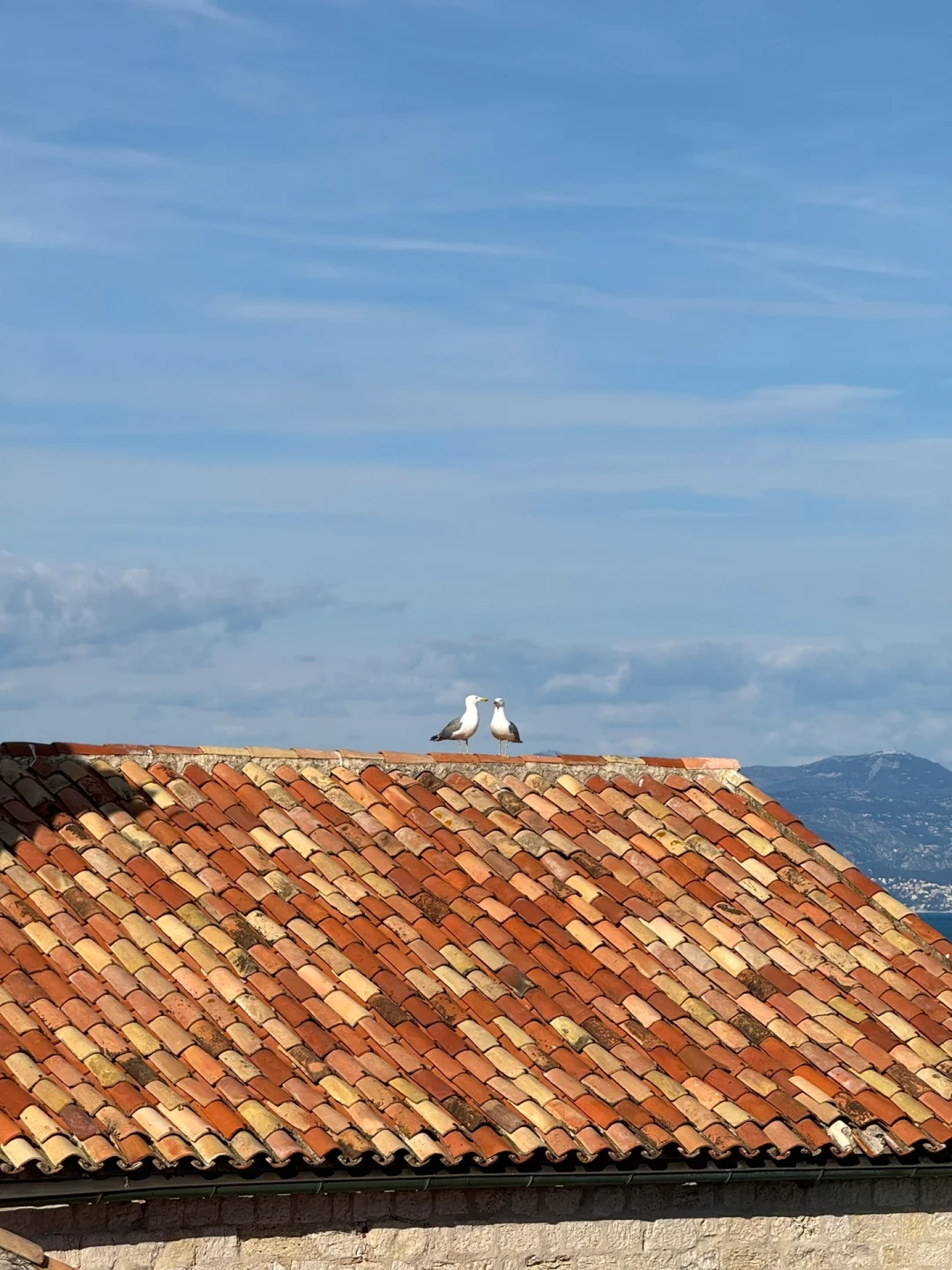 🇫🇷Antibes | 想去无数次的南法小镇🩵
