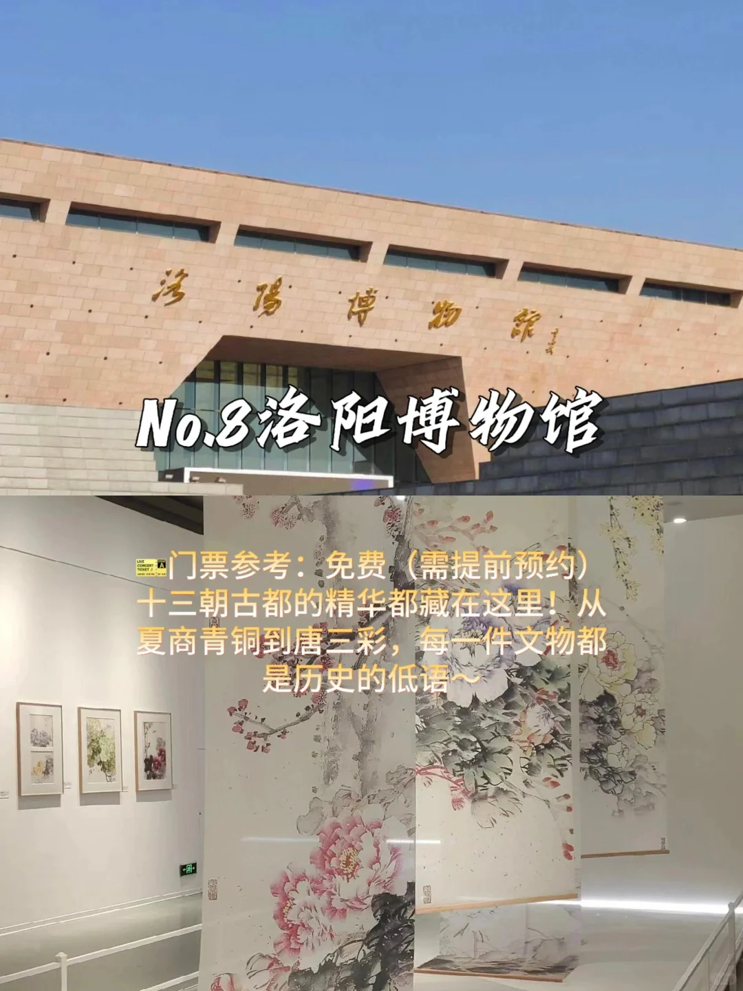 🌟 洛阳必打卡9大景点｜穿越千年古都。