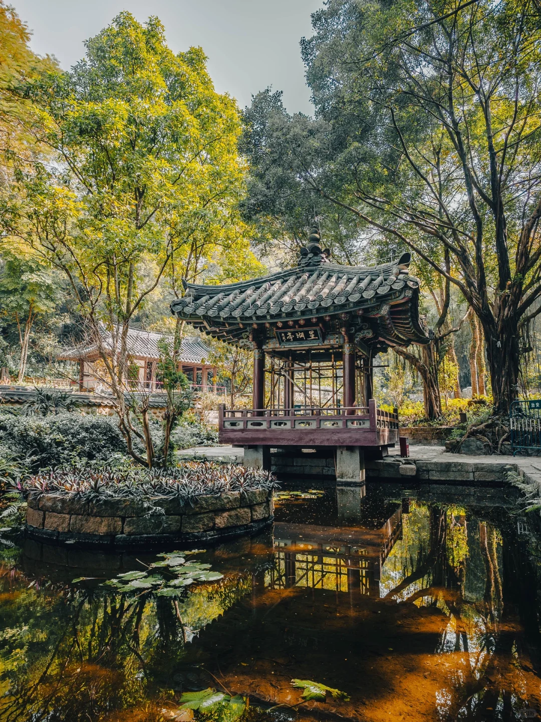 为了这18张照片📷我专门飞了一趟广州