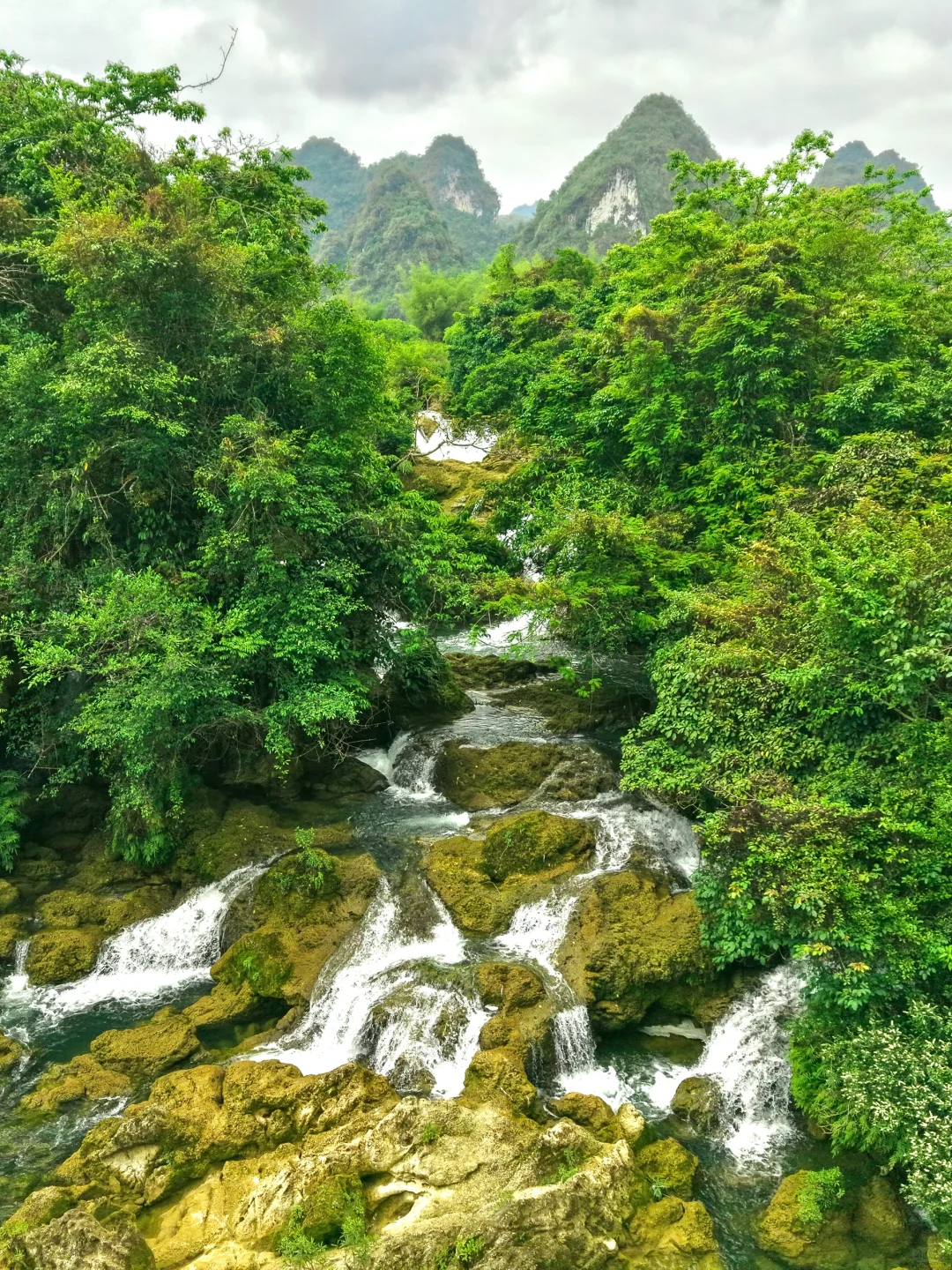 不是国外！中国人自己的侏罗纪原始密林