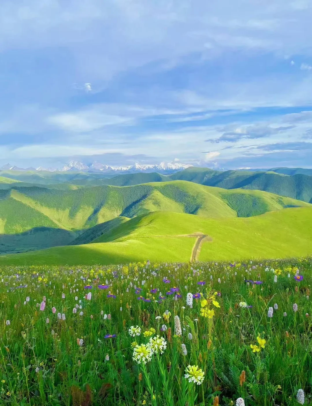 与远山对话