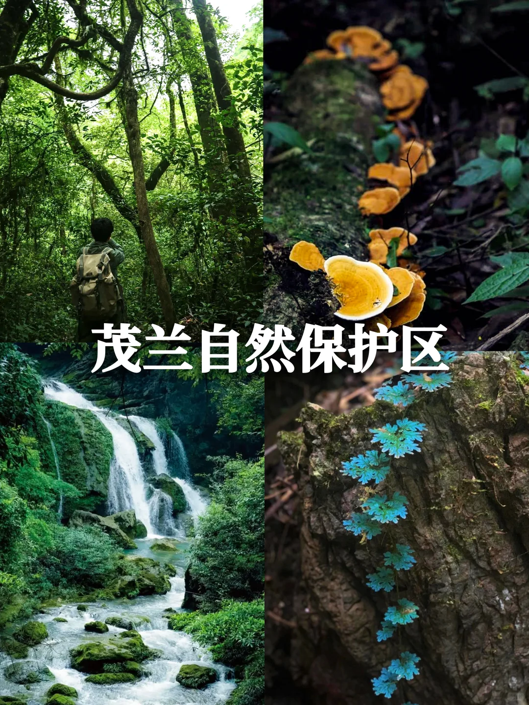 贵州反向旅行｜｜拒绝人挤人‼