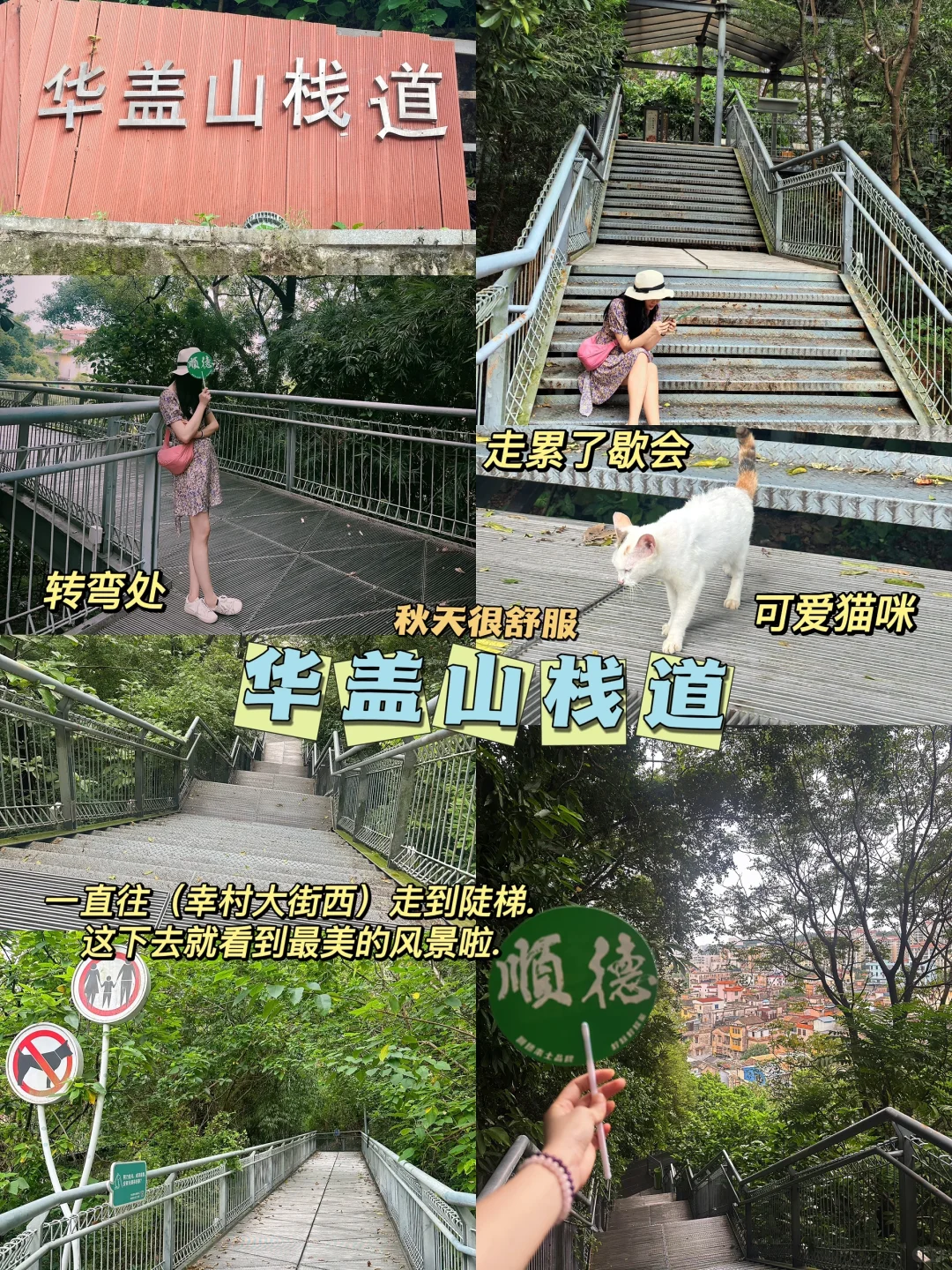📍佛山顺德+西樵旅游攻略｜必打卡景点+美食