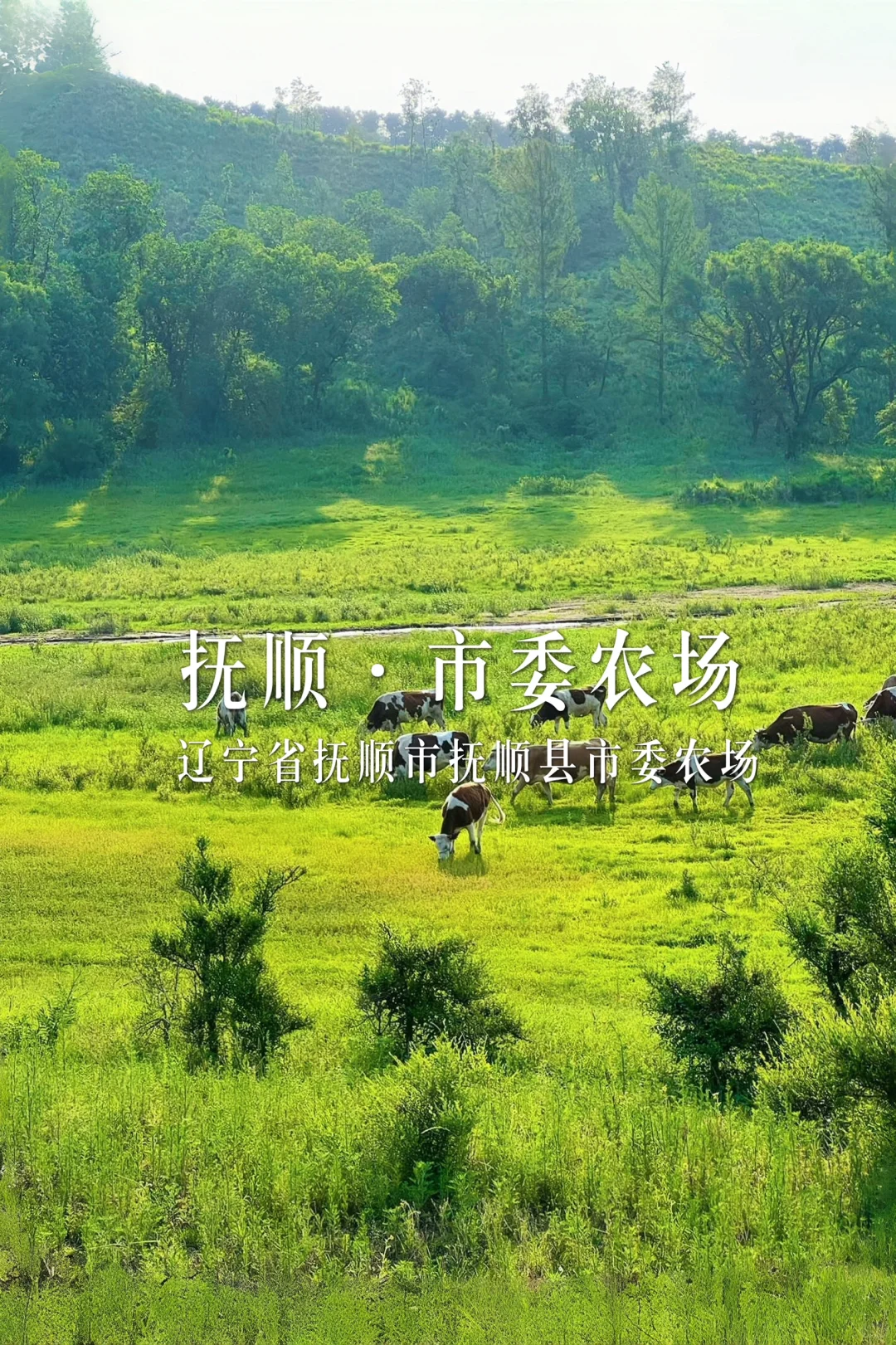 辽宁周边10个人少景美的冷门景点