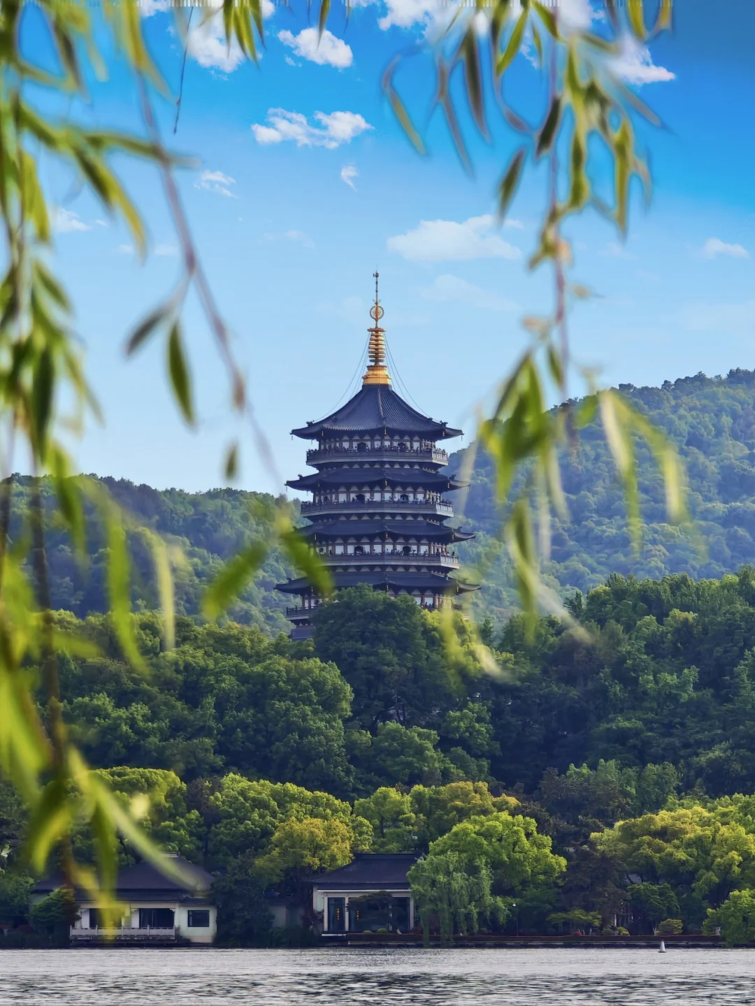 记录一场江南的春意盎然🍃