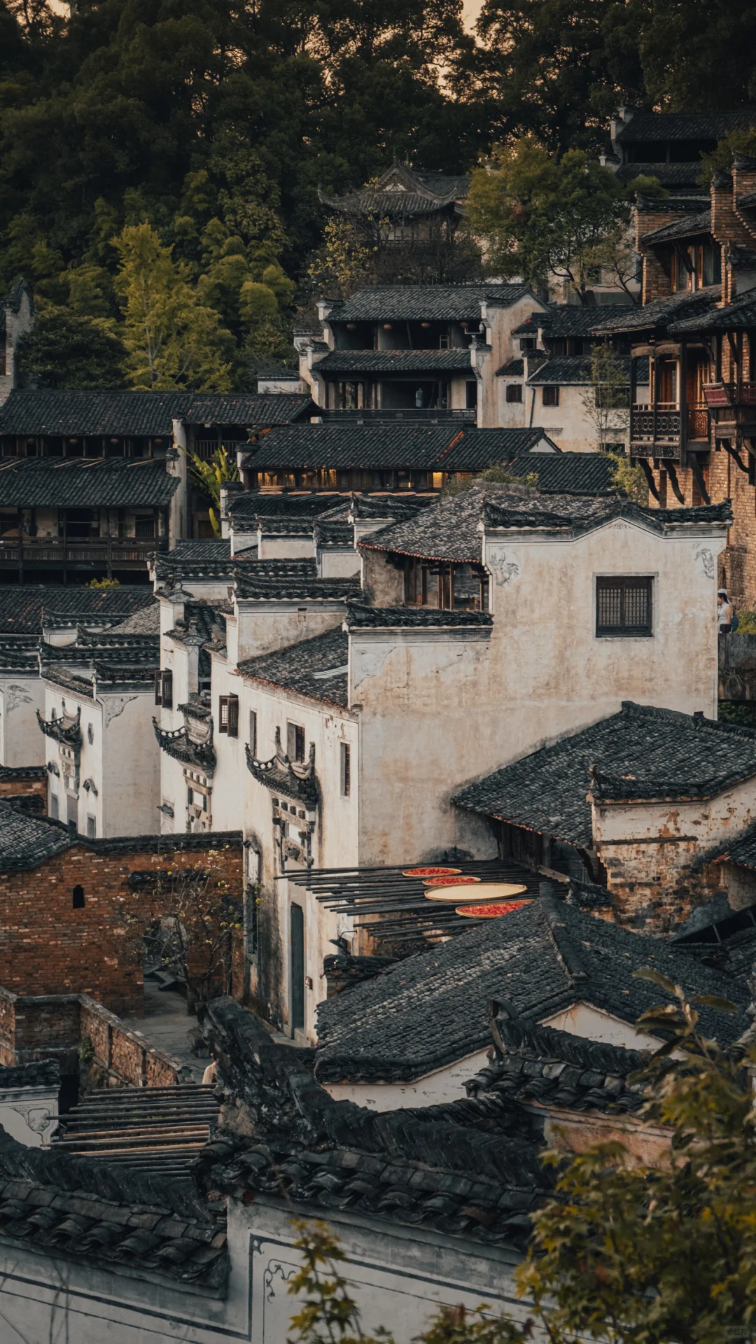你可能不认识我，但你或许去过我拍的古村