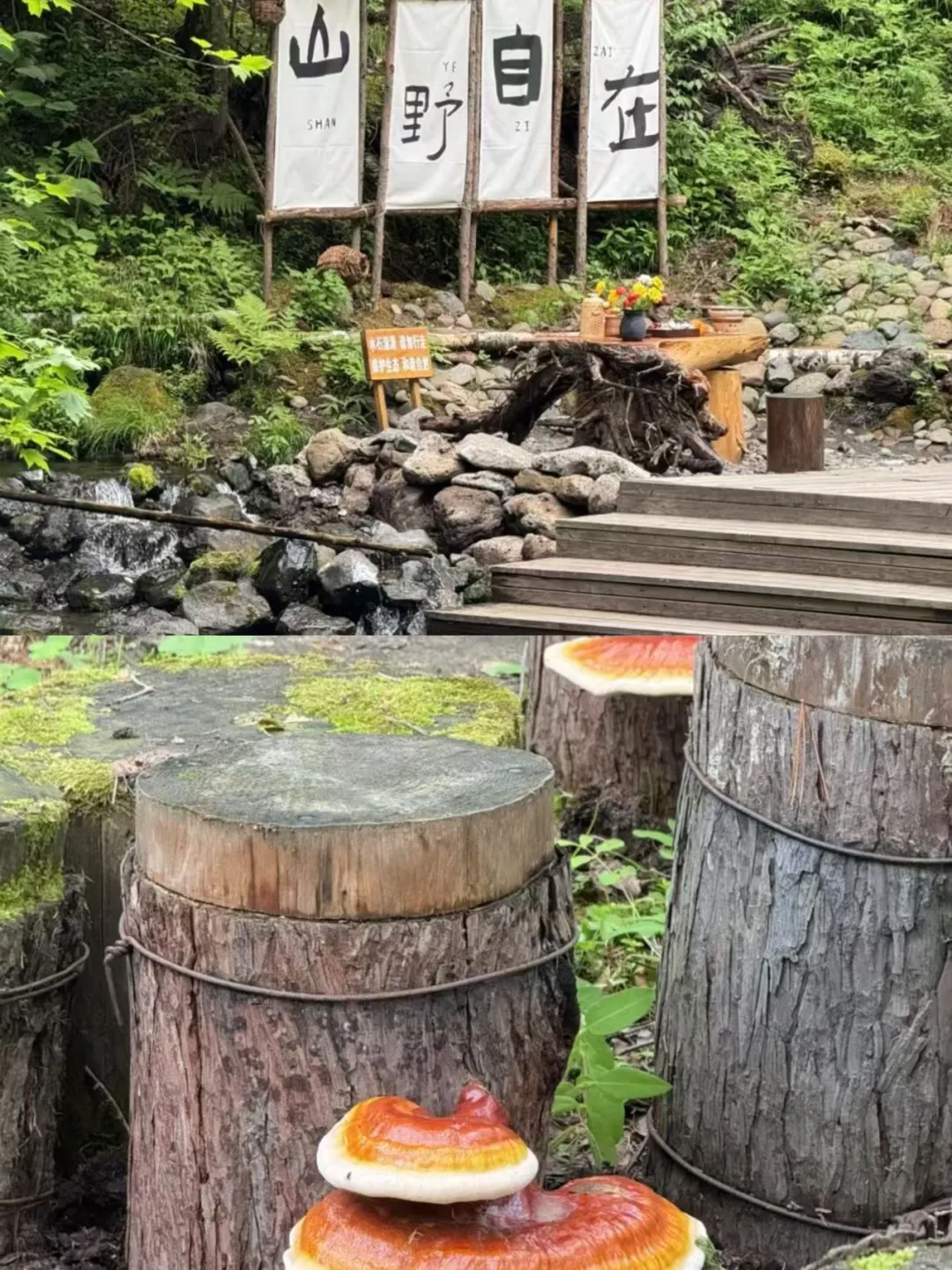 🌋长白山打卡指南｜18个景点全收录！
