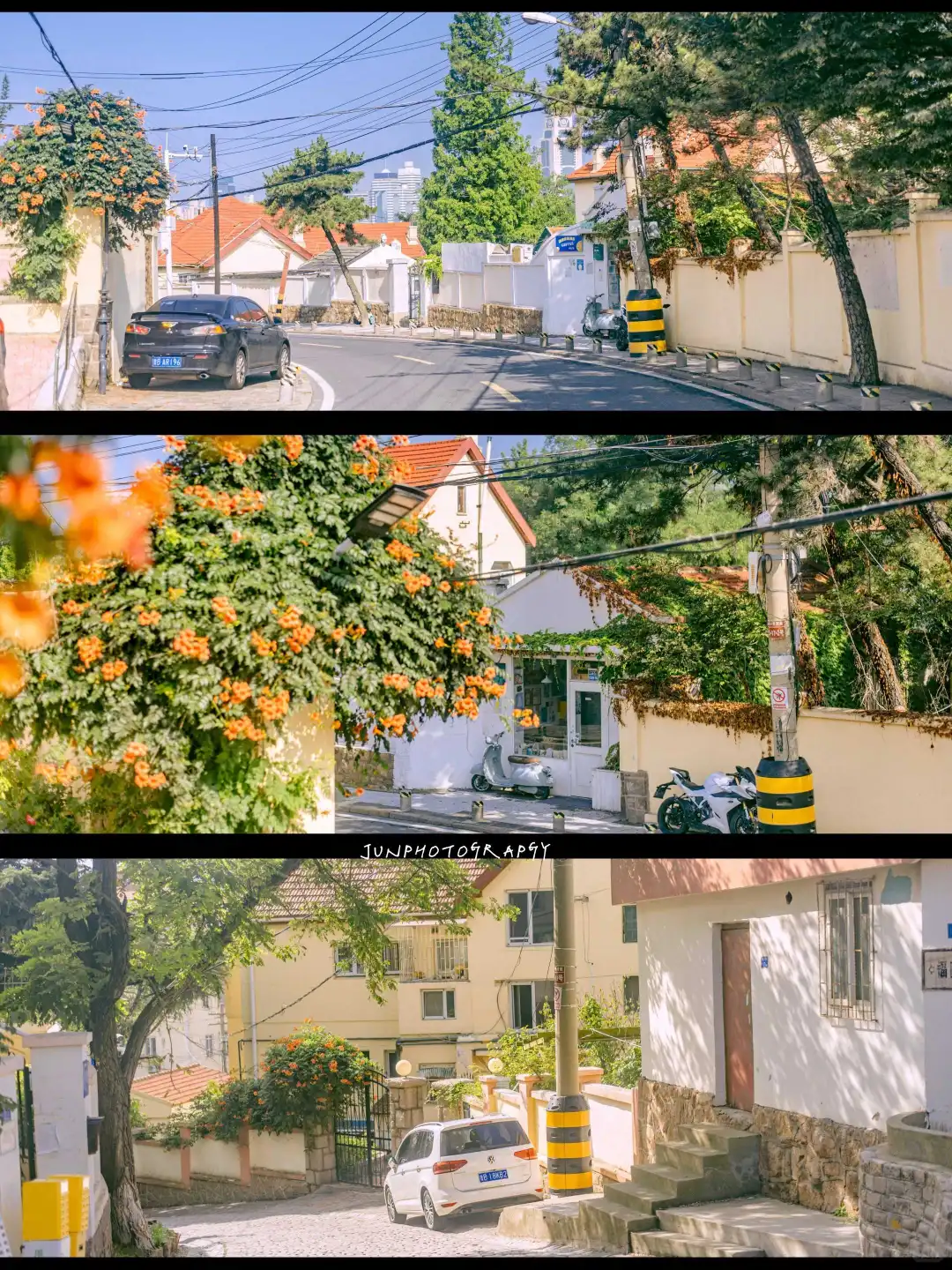 青岛的夏天🌊是动画里的场景变成了现实