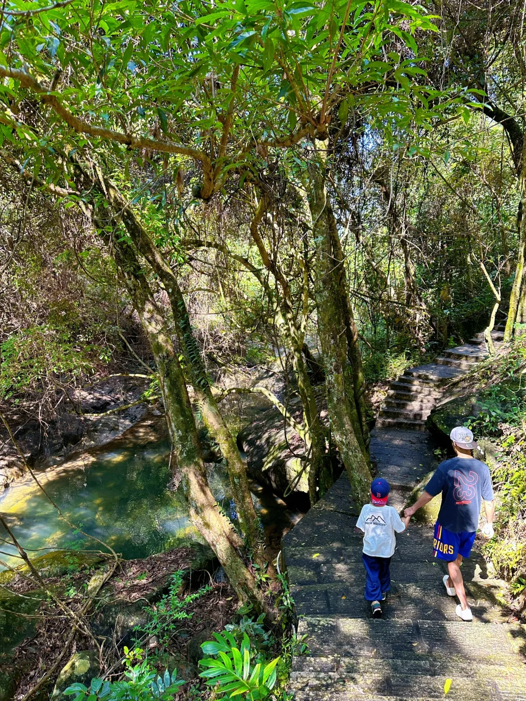 胜在人少‼️被严重低估的森林公园🌲超好玩😉