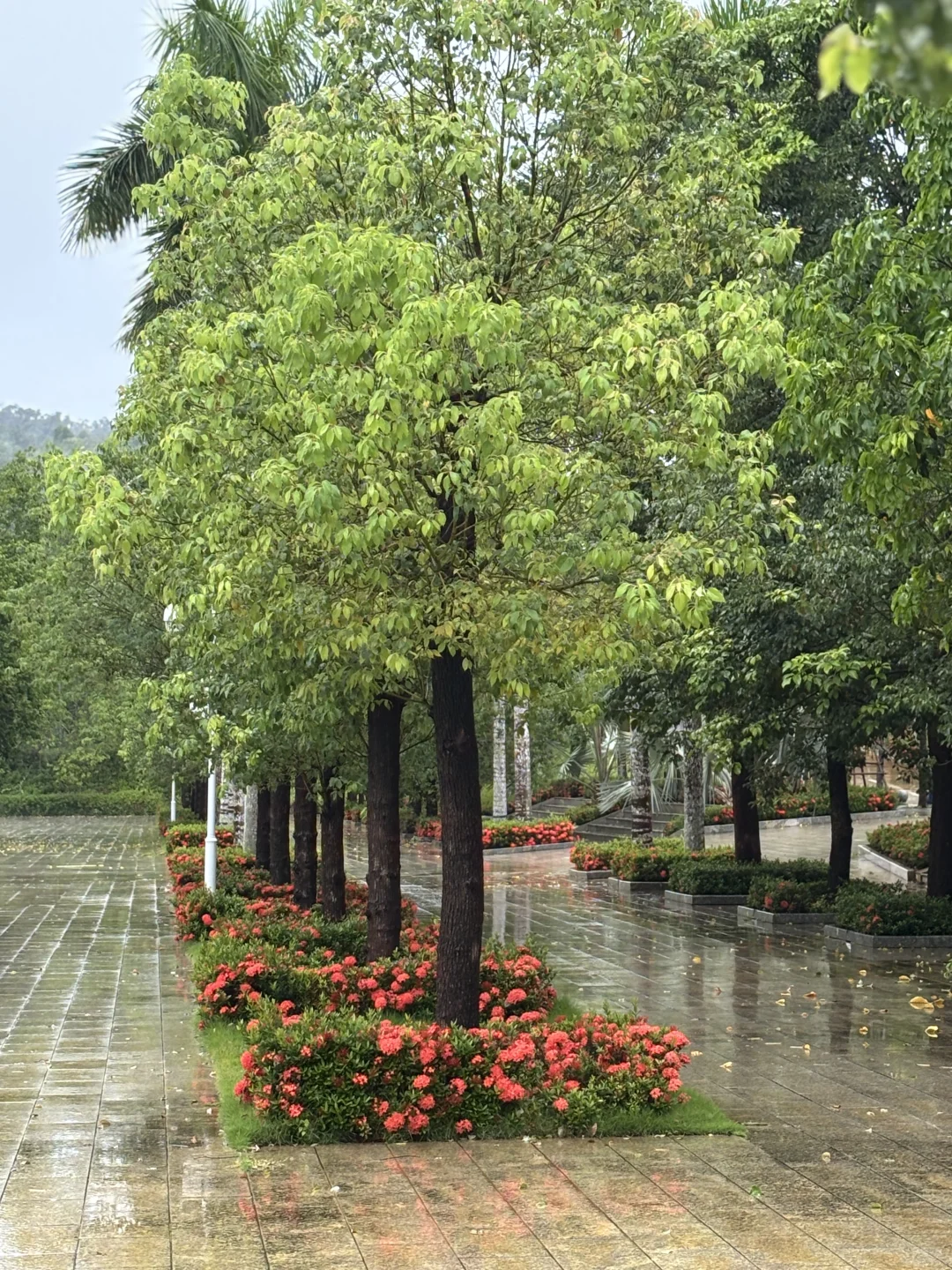 儋州神仙景区｜莲花地质公园祈福赏景两不误
