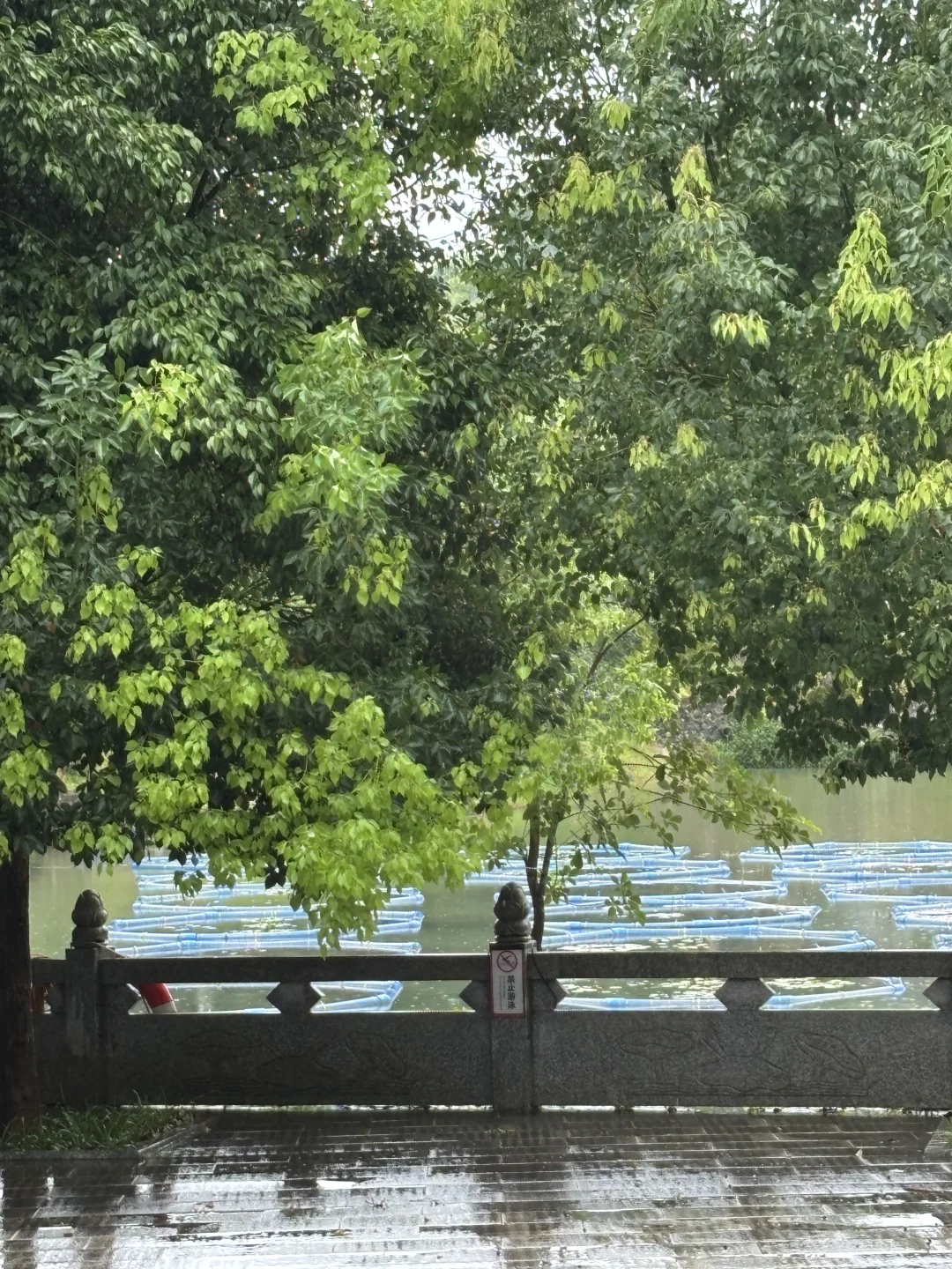 儋州神仙景区｜莲花地质公园祈福赏景两不误