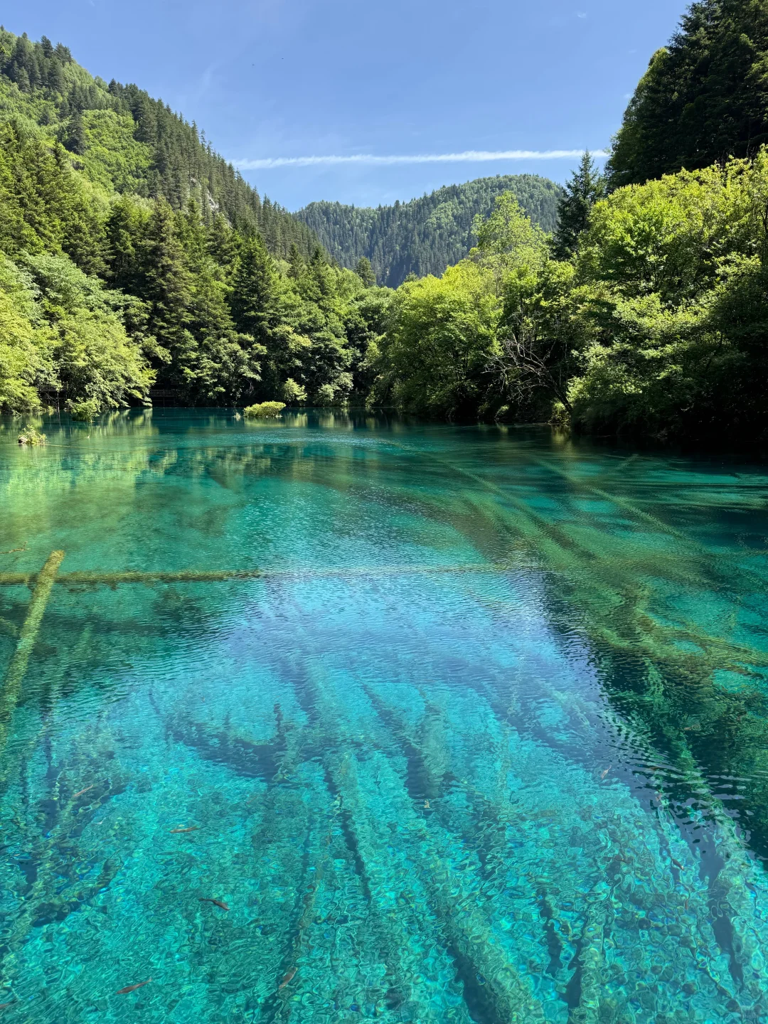 7.3📍九寨沟已回，live现状，劝退不了…… #假