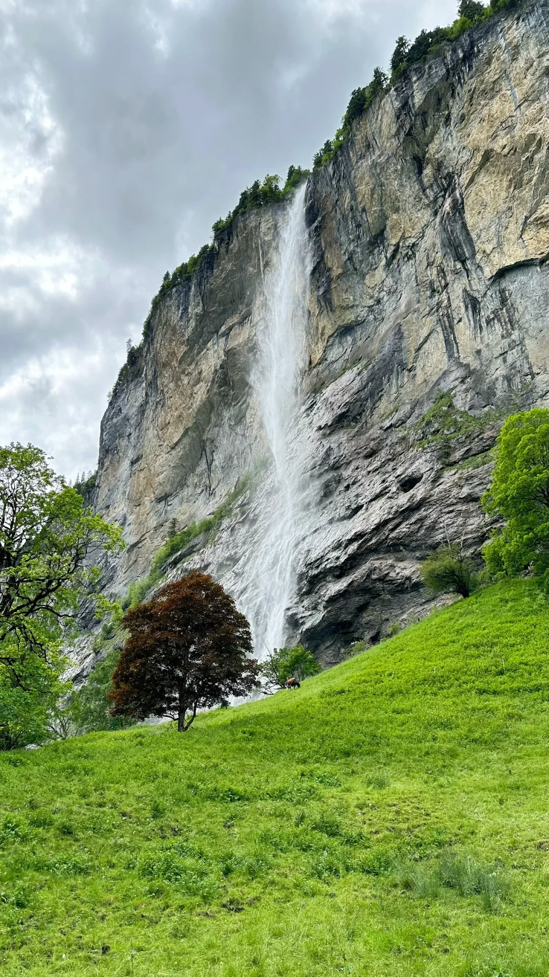 🇨🇭瑞士5日游｜8k➕玩到爽！