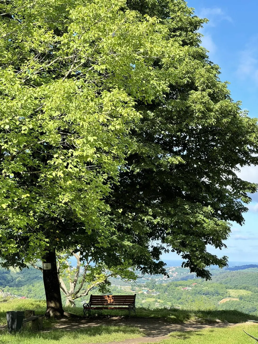 预计今年夏天免签的格鲁吉亚会成为顶流！