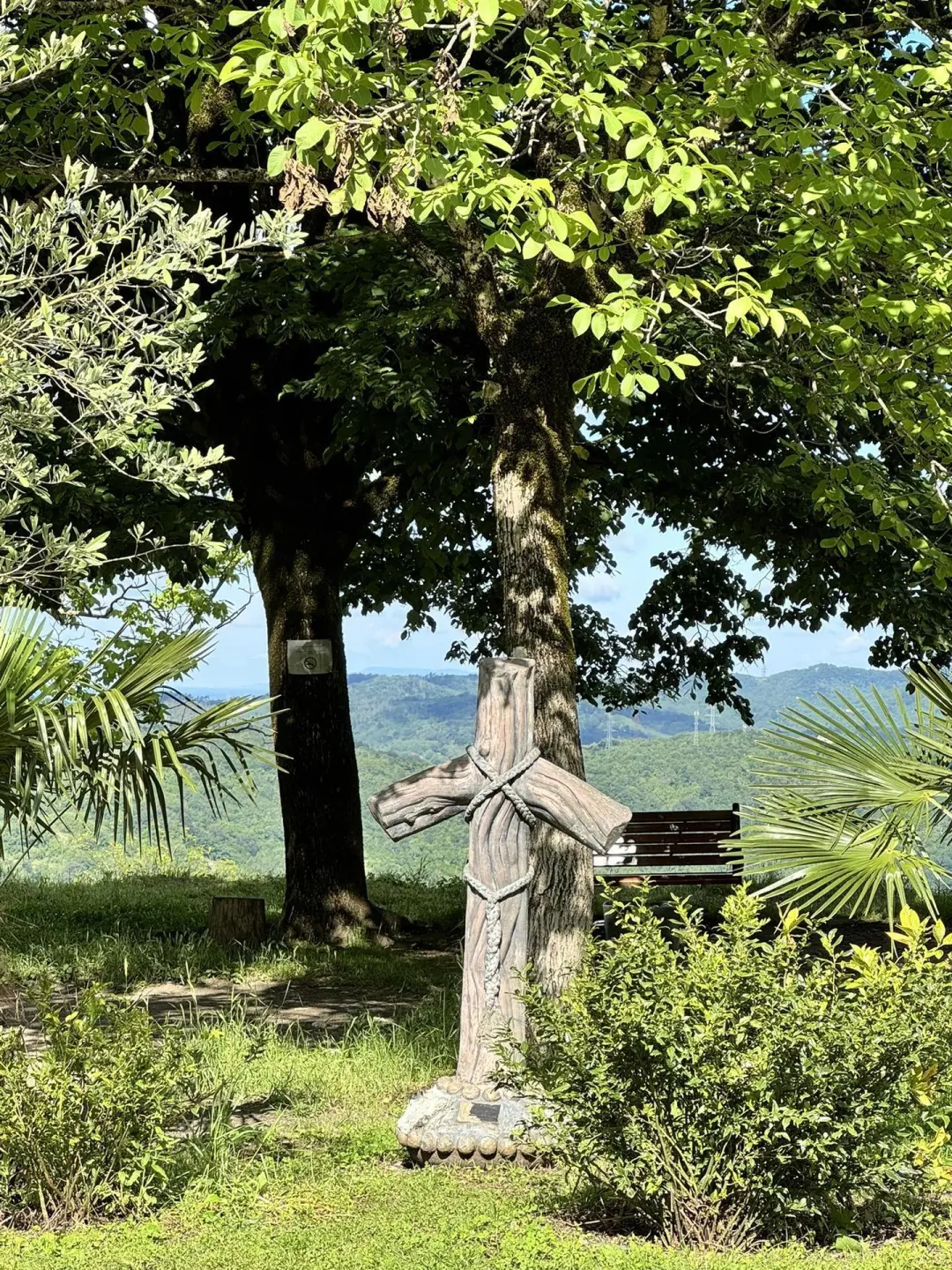 预计今年夏天免签的格鲁吉亚会成为顶流！