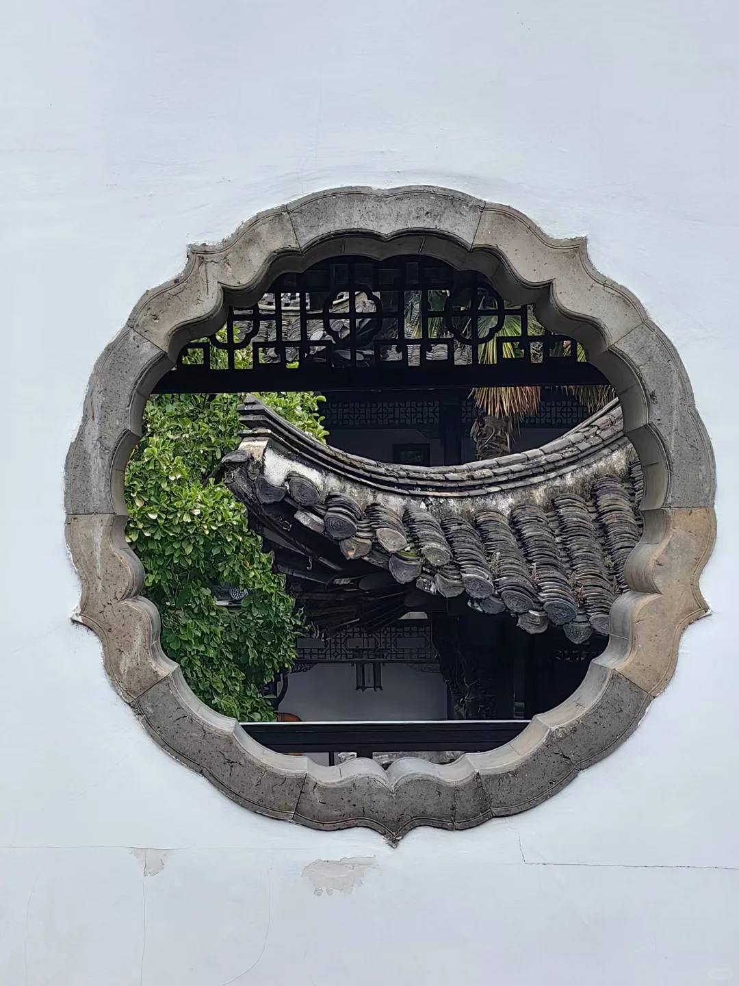 亮一亮相册中最美框景