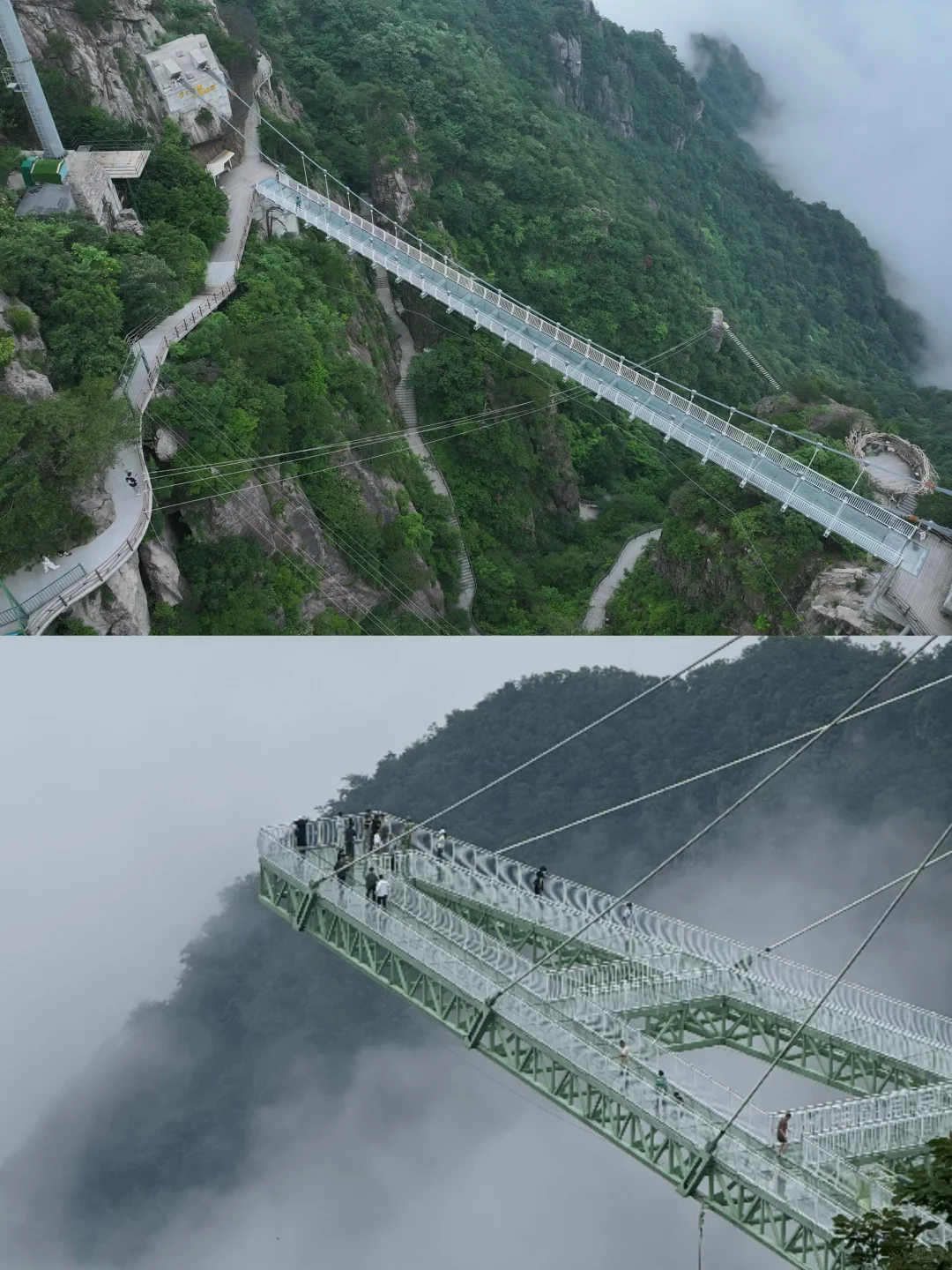 发个朋友圈问疯啦！不在新西兰 在安吉！！