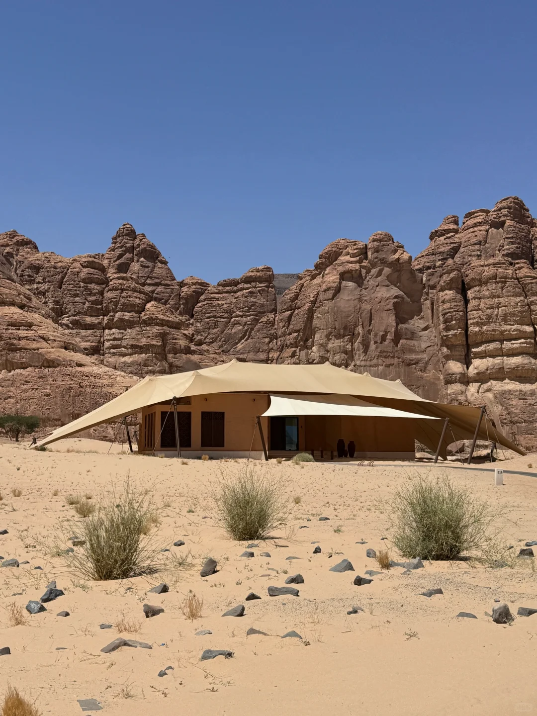 🇸🇦跨越了半个地球Alula
