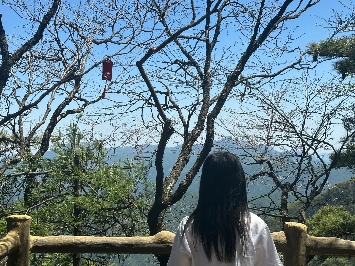 📍老君山 𝙇𝙖𝙤 𝙅𝙪𝙣 𝙨𝙝𝙖𝙣🏔