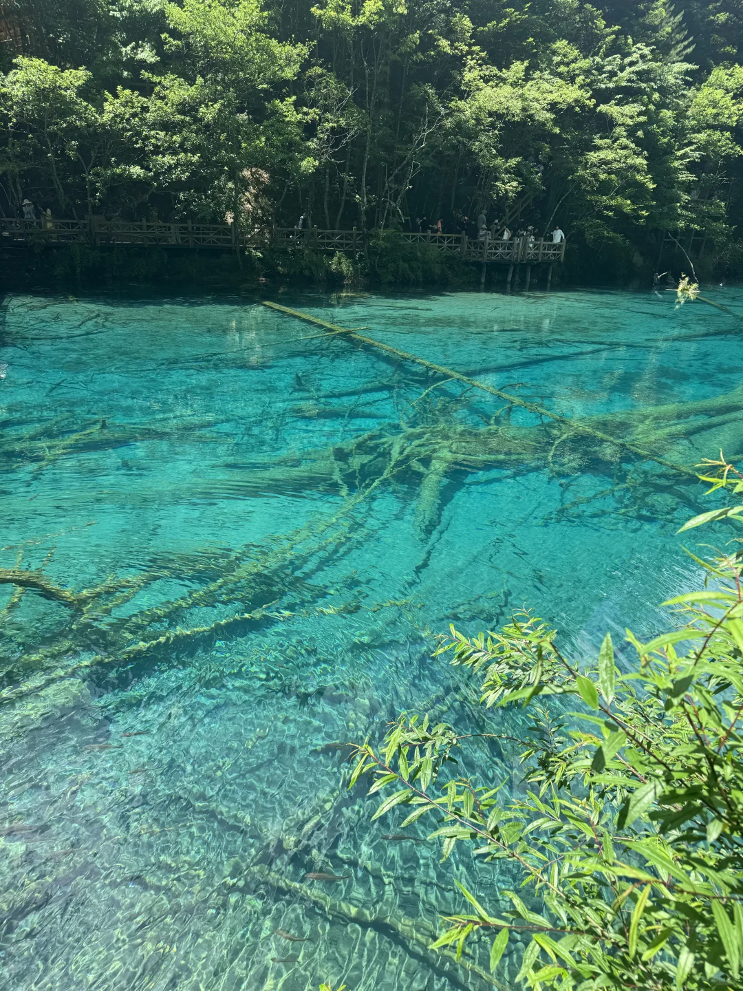 6.28太美了九寨沟