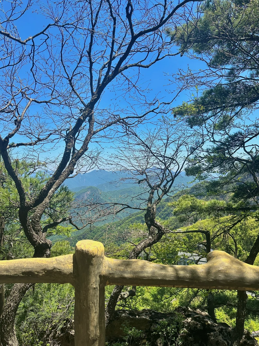📍老君山 𝙇𝙖𝙤 𝙅𝙪𝙣 𝙨𝙝𝙖𝙣🏔