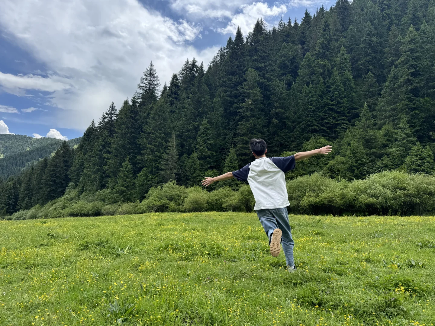 随雨而来，伴雨而去。