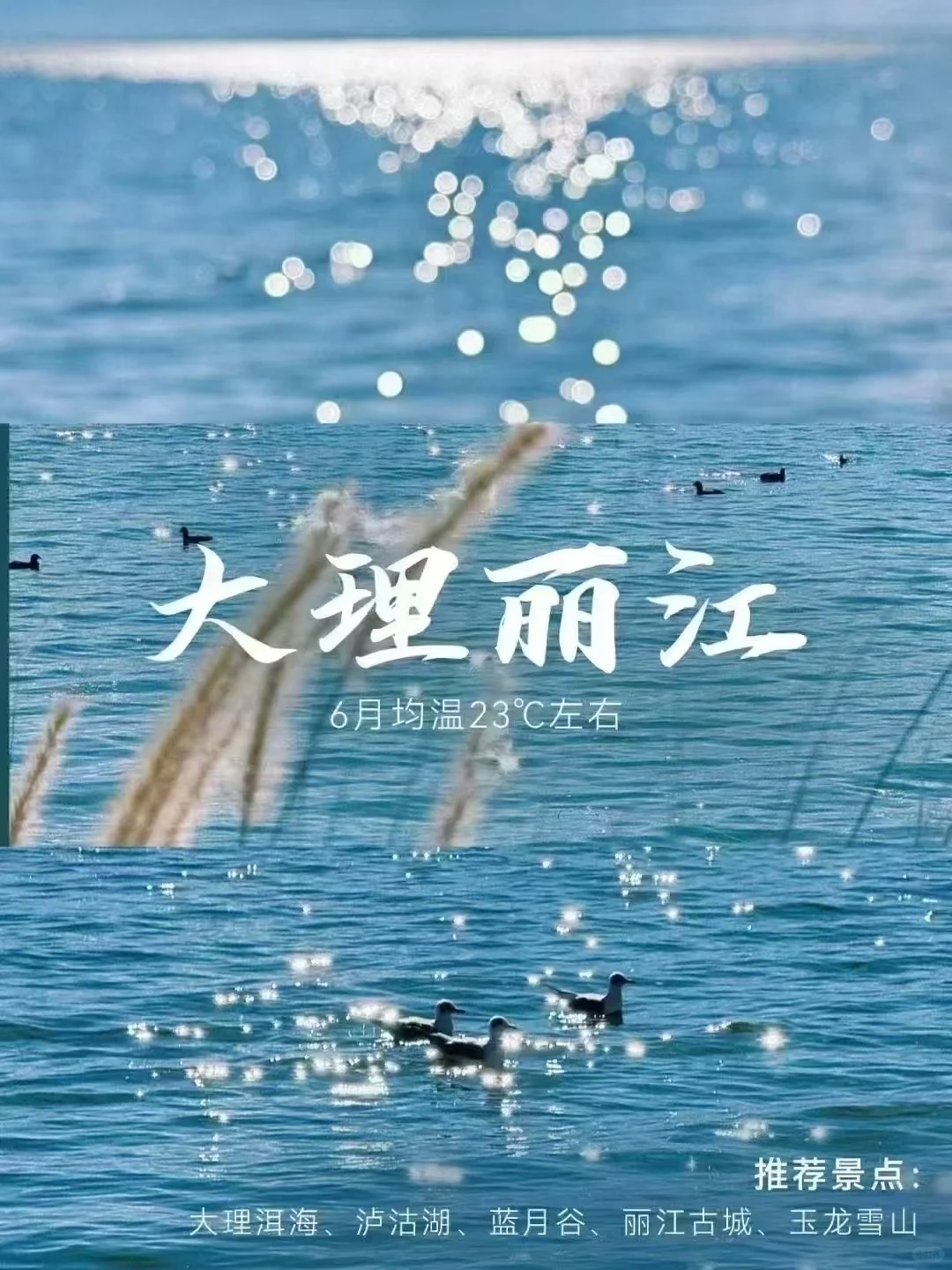 凉快的地区 ✈️ 旅游推荐