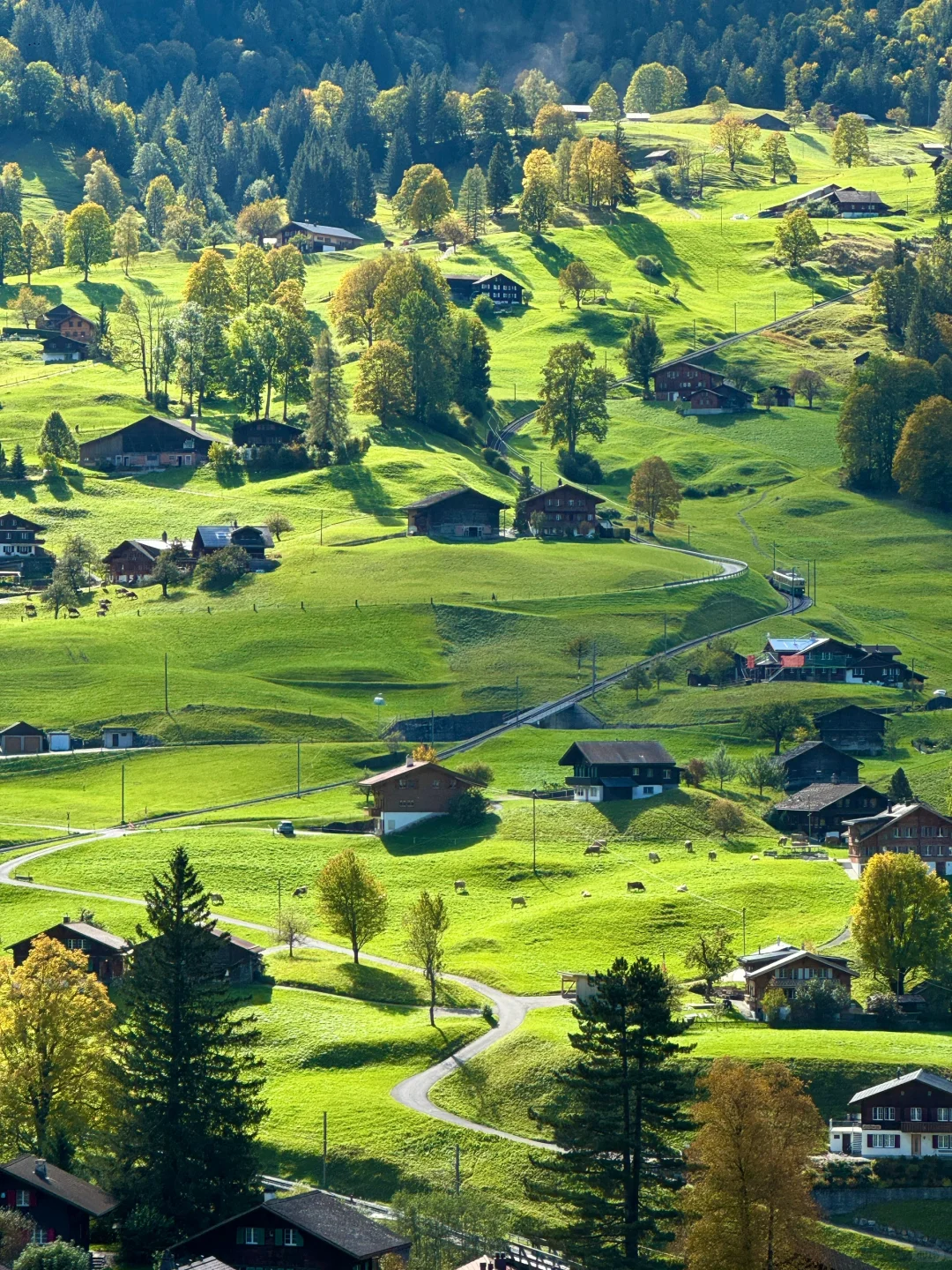 瑞士🇨🇭完美天气的格林德瓦梦幻山坡