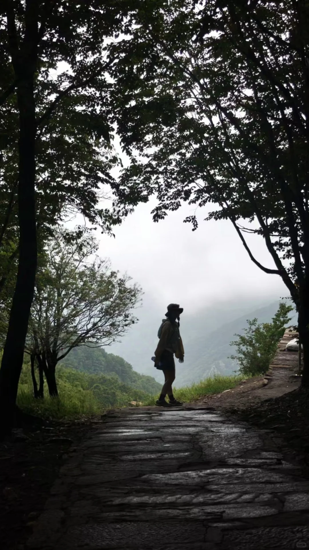 嶂石岩很好，下次不去了