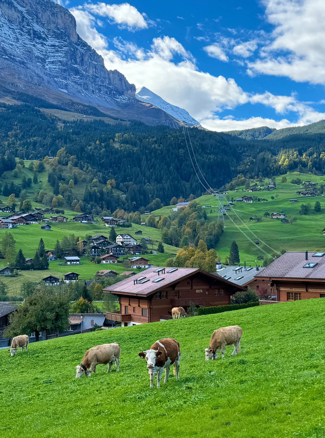 瑞士🇨🇭完美天气的格林德瓦梦幻山坡