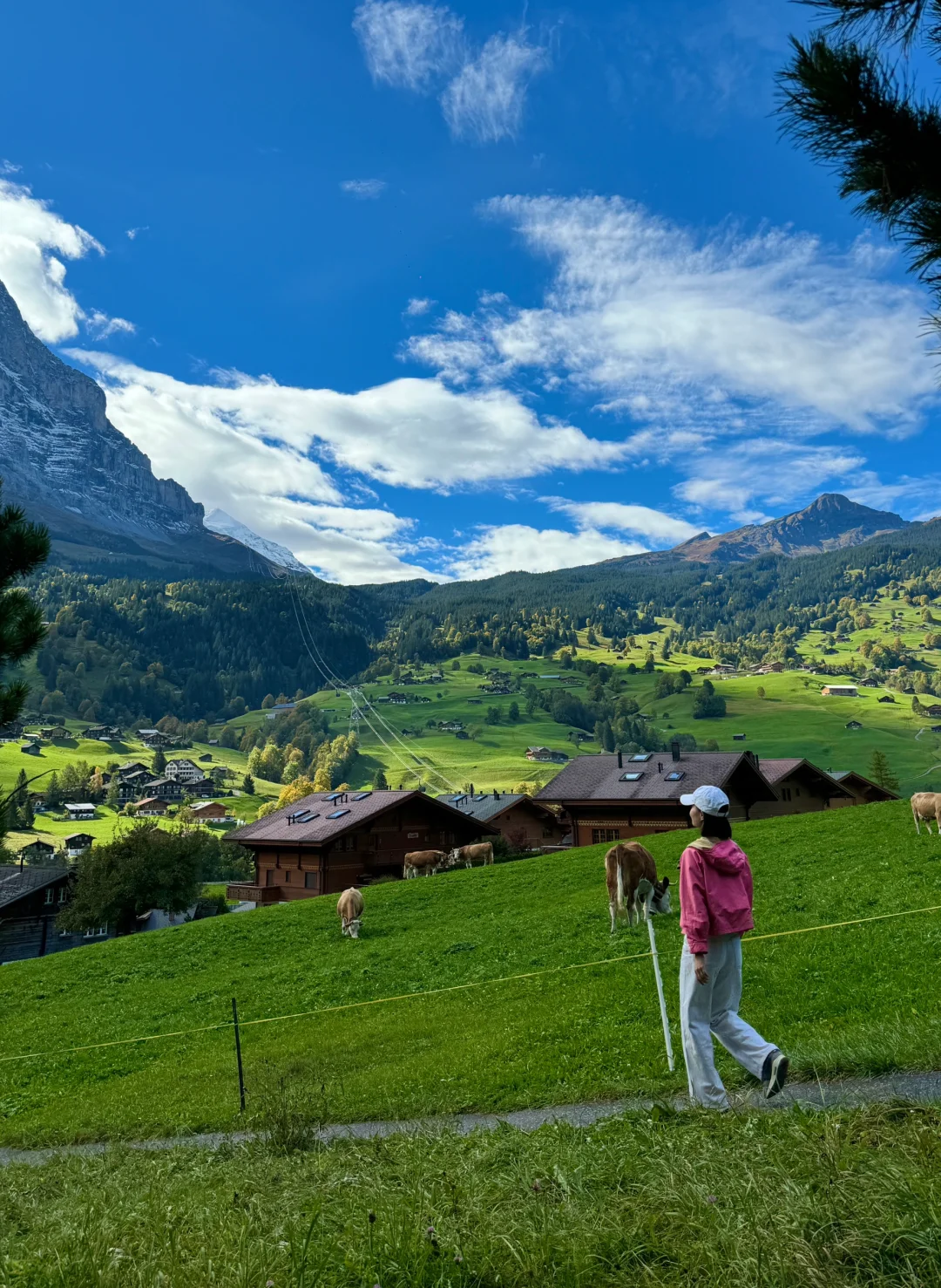 瑞士🇨🇭完美天气的格林德瓦梦幻山坡