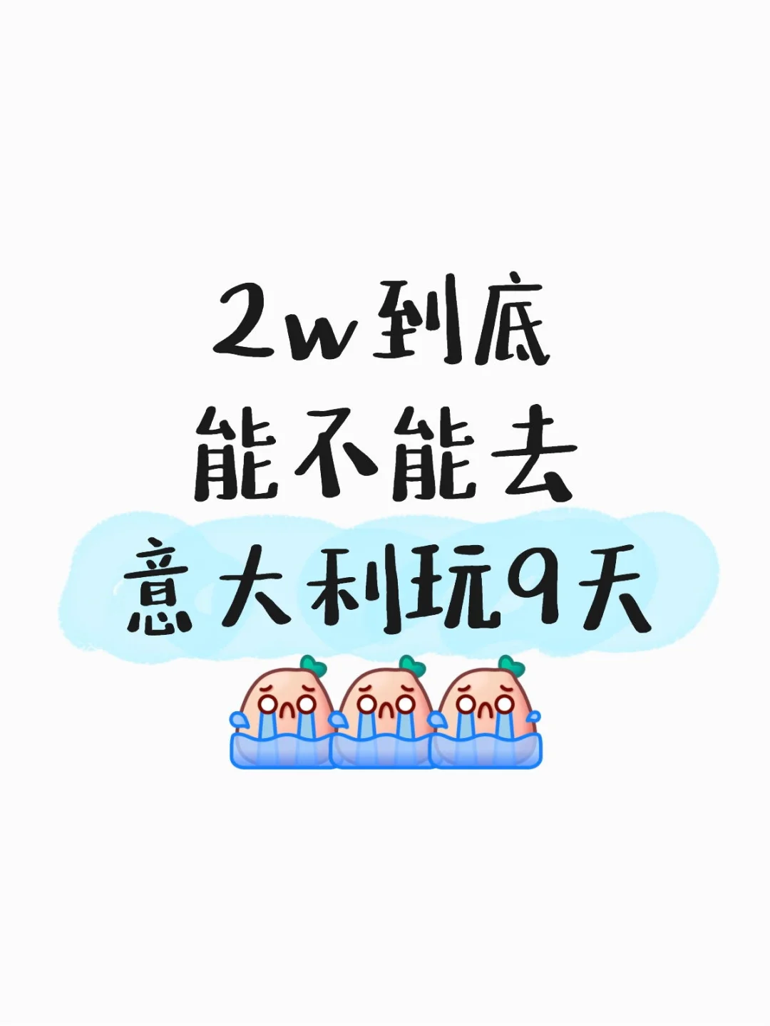 你们花了多少啊