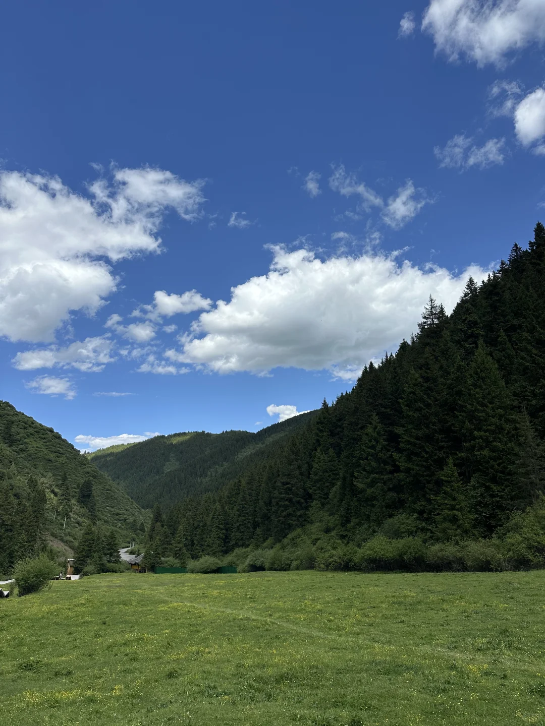 🌳松潘避暑！成都1.5h直达🚄很漂亮很值得！