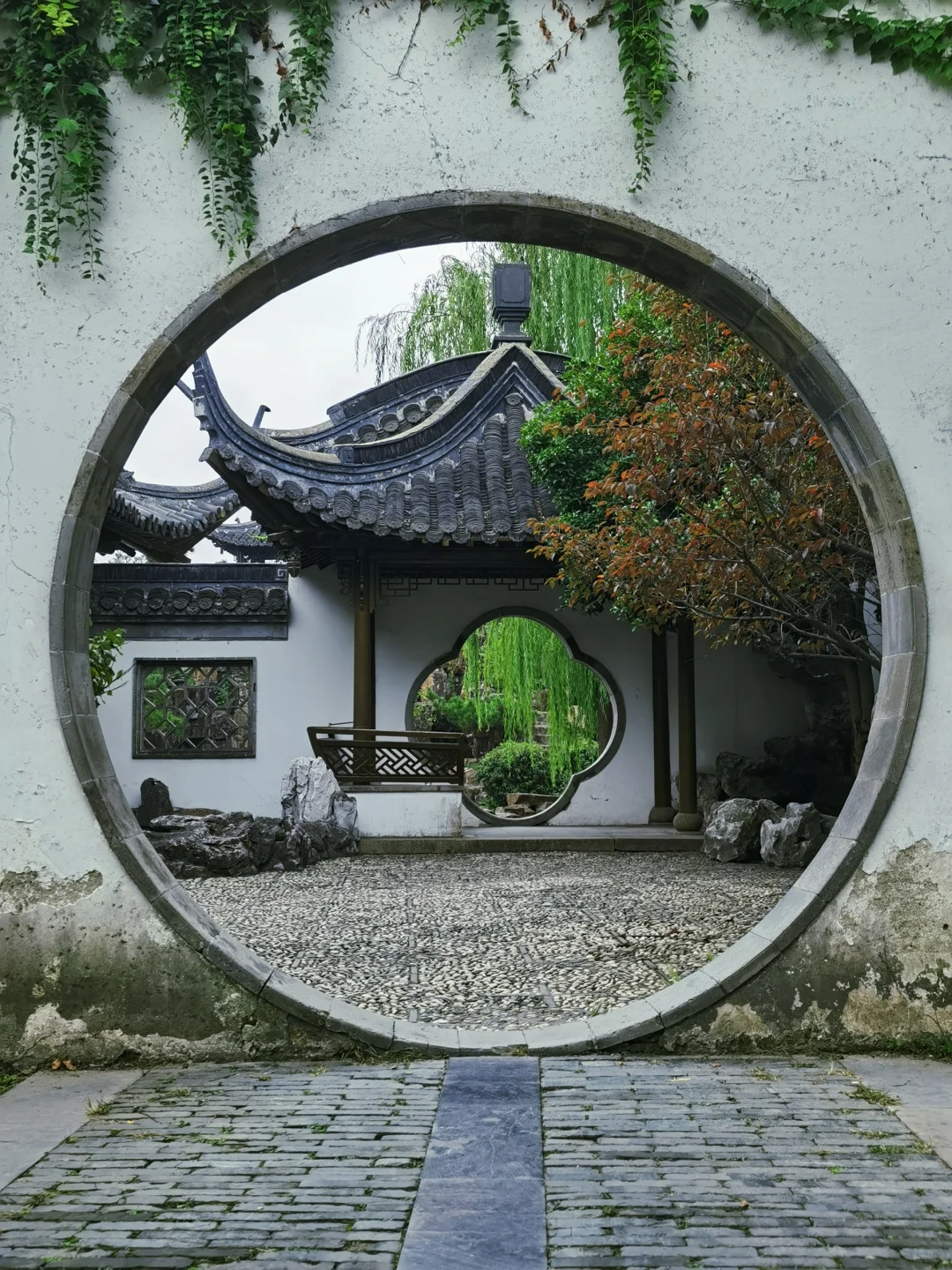 亮一亮相册中最美框景