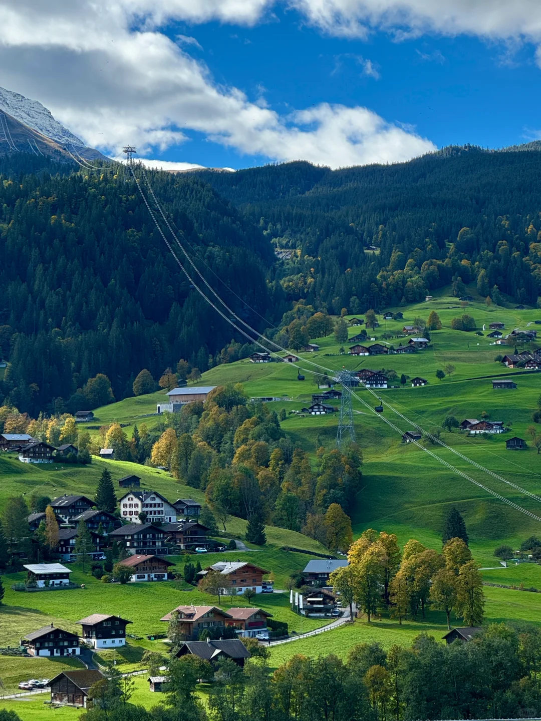 瑞士🇨🇭完美天气的格林德瓦梦幻山坡