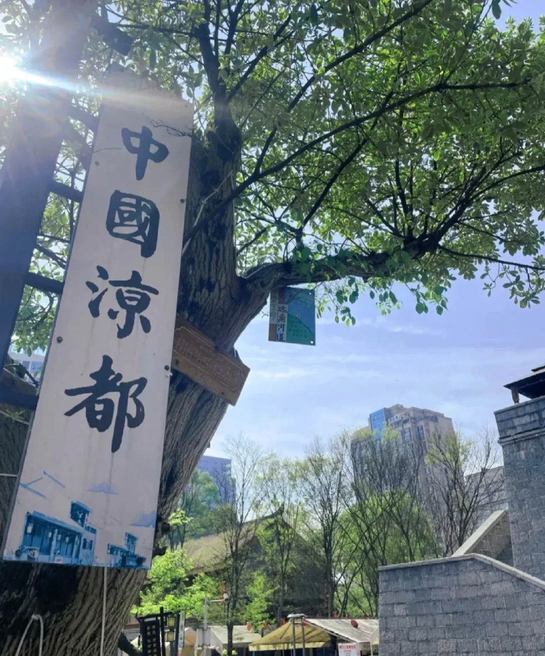 🌟金融人假期之旅：打卡贵州六盘水