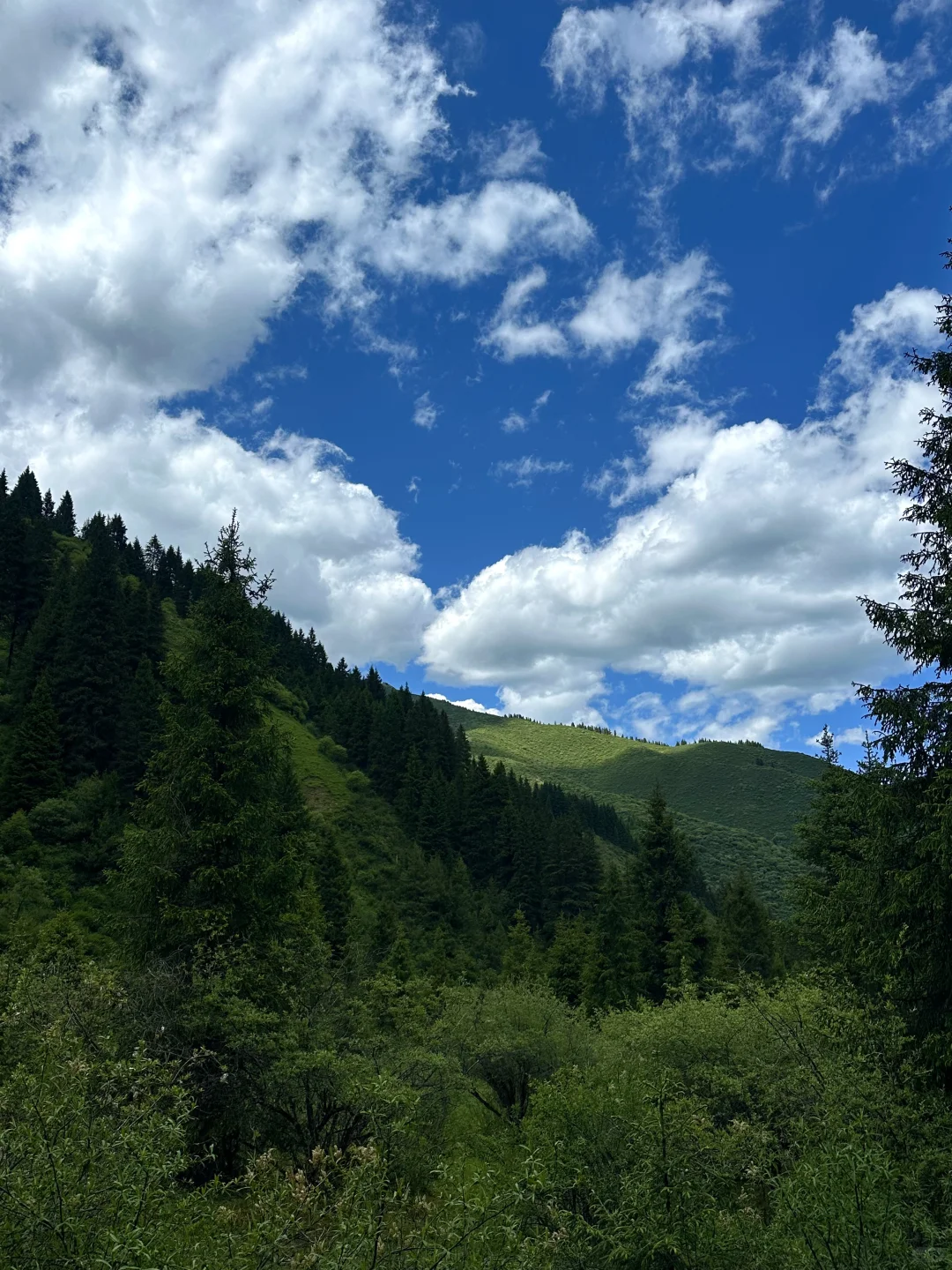 🌳松潘避暑！成都1.5h直达🚄很漂亮很值得！