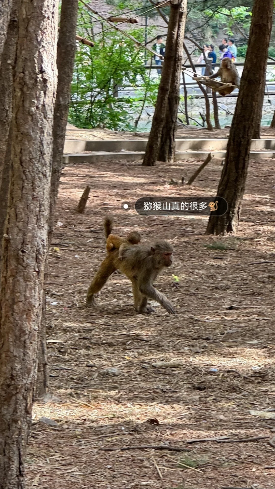 邯郸周边游之通天峡一日游山玩水跟团游！