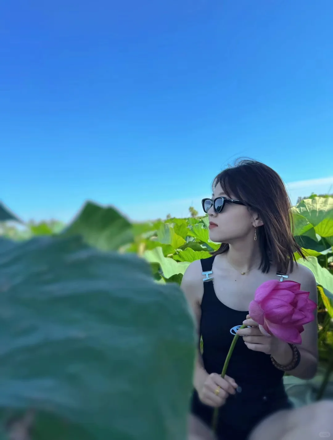 写给来白洋淀朋友的一封信｜白洋淀旅游攻略