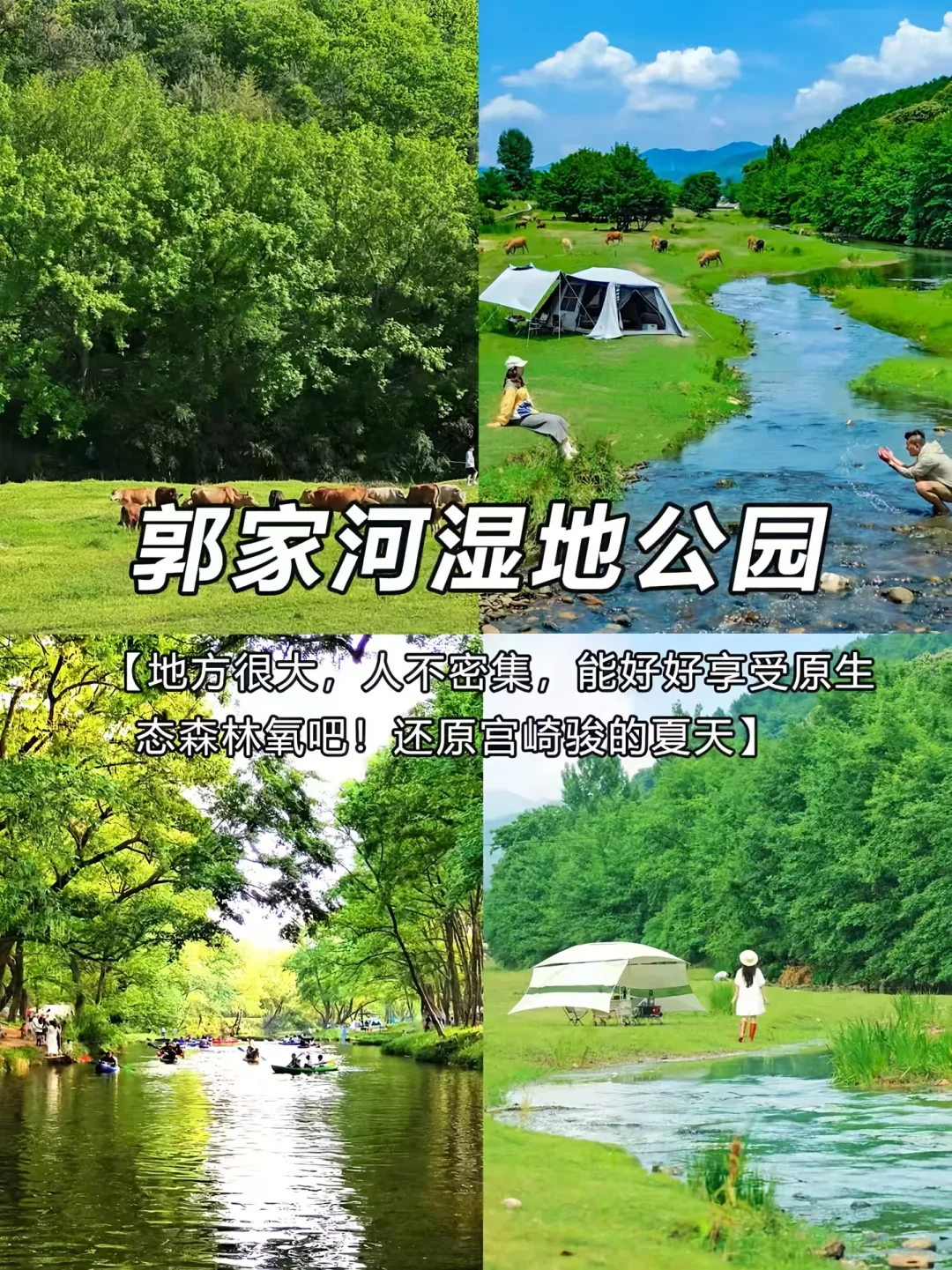 河南避暑景点遛娃好去处！