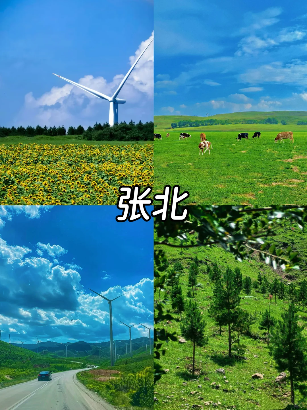 这个暑假，河北多个景区宣布免费（下）